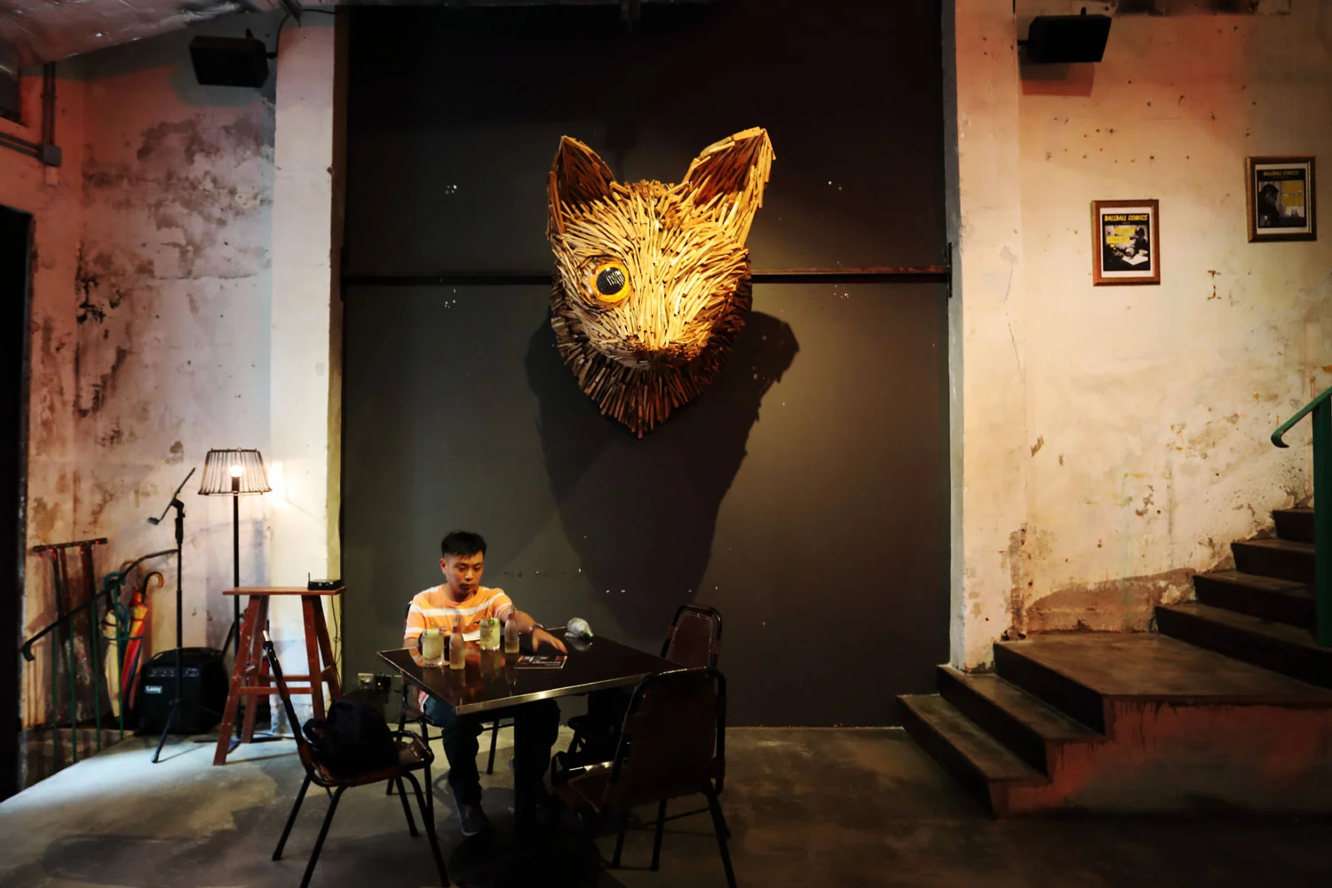 ballball-cat-by-kacey-wong-10.JPG
