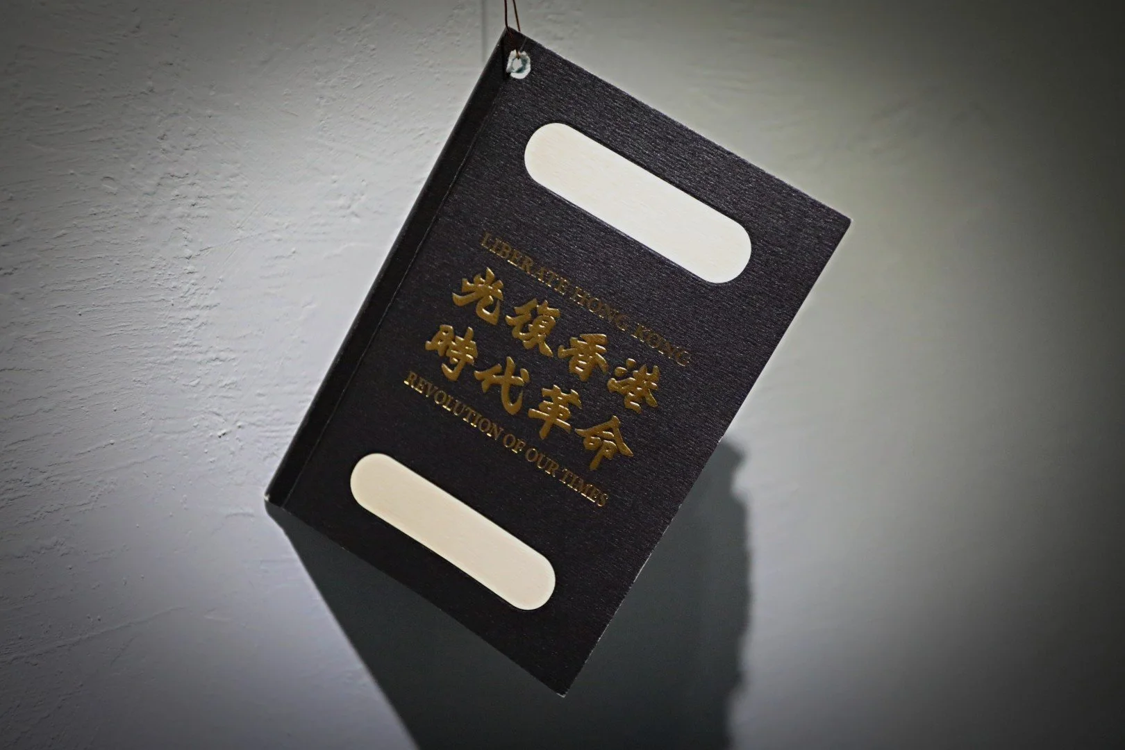 liberation-hong-kong-revolution-of-our-times-passport-by-kacey-wong-1.JPG