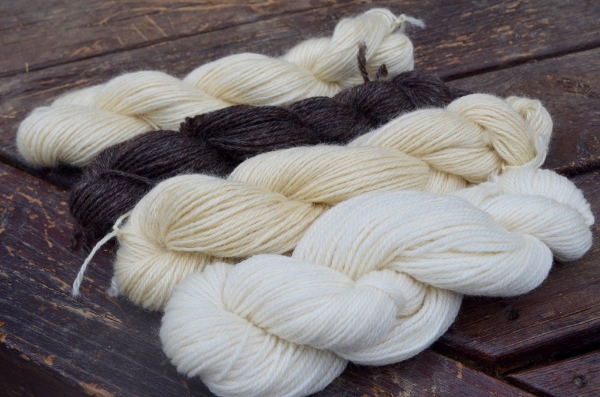 From left to right: Natural White North American Wensleydale, Natural Black North American Wensleydale, Leicester Longwool, Timi & Friends.
