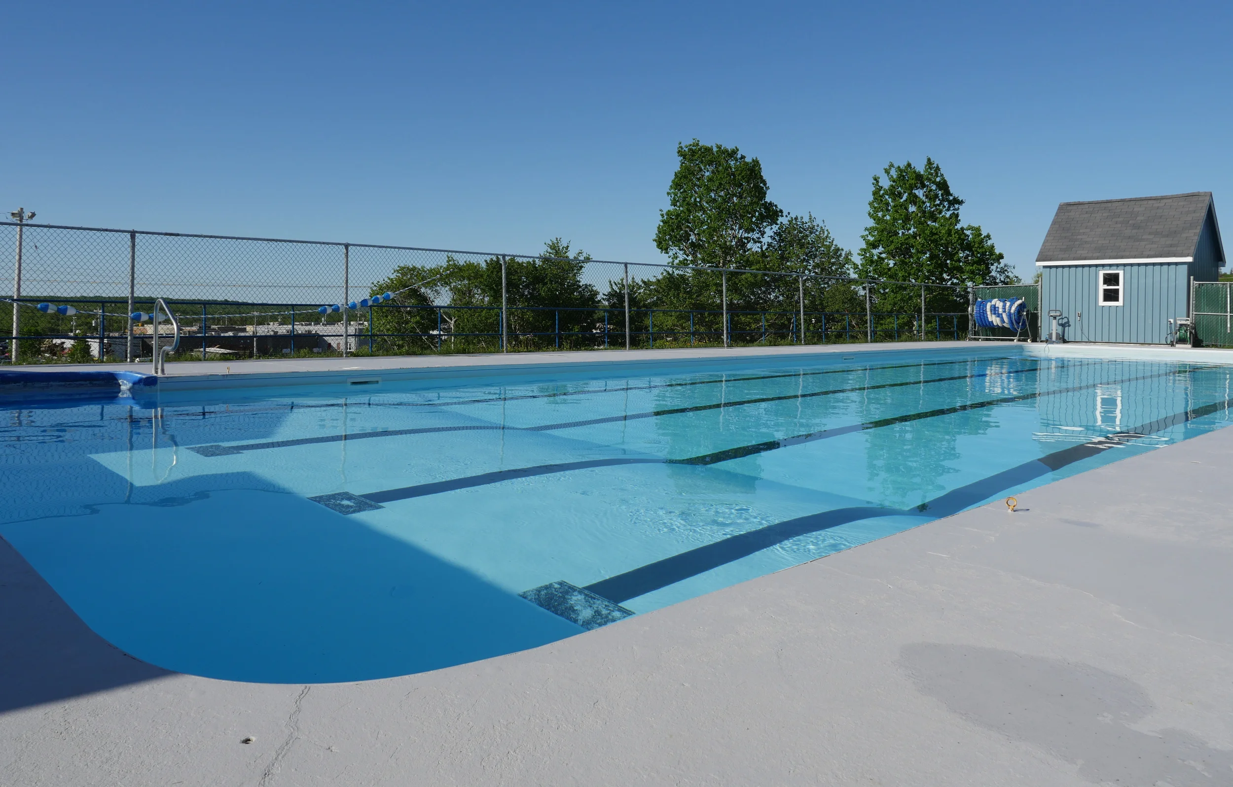 Adult Lane Swim