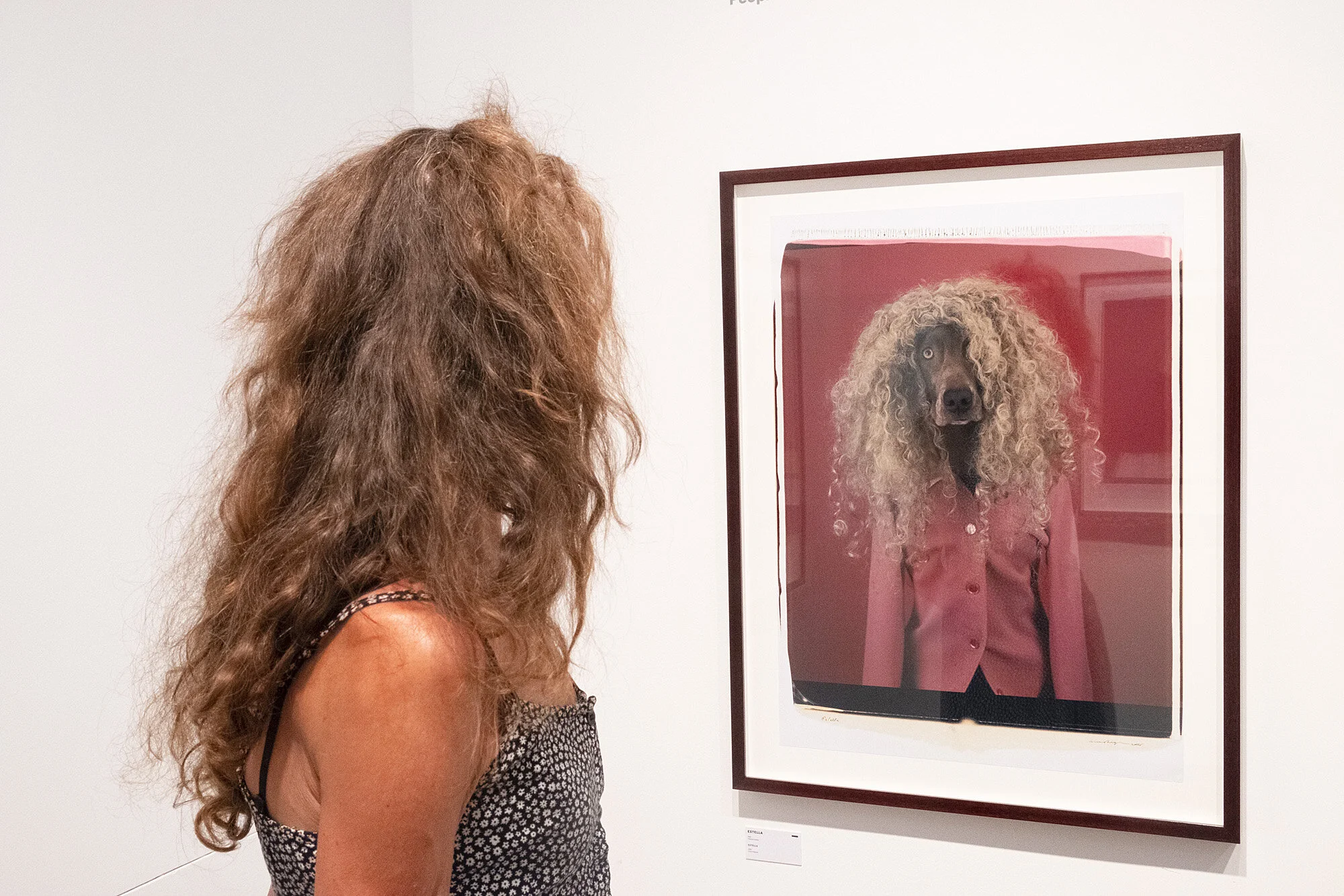 arles-frankrijk-tentoonstelling-fototentoonstelling-art-william wegman-180722_1925_DSF5043 kopiëren.jpg
