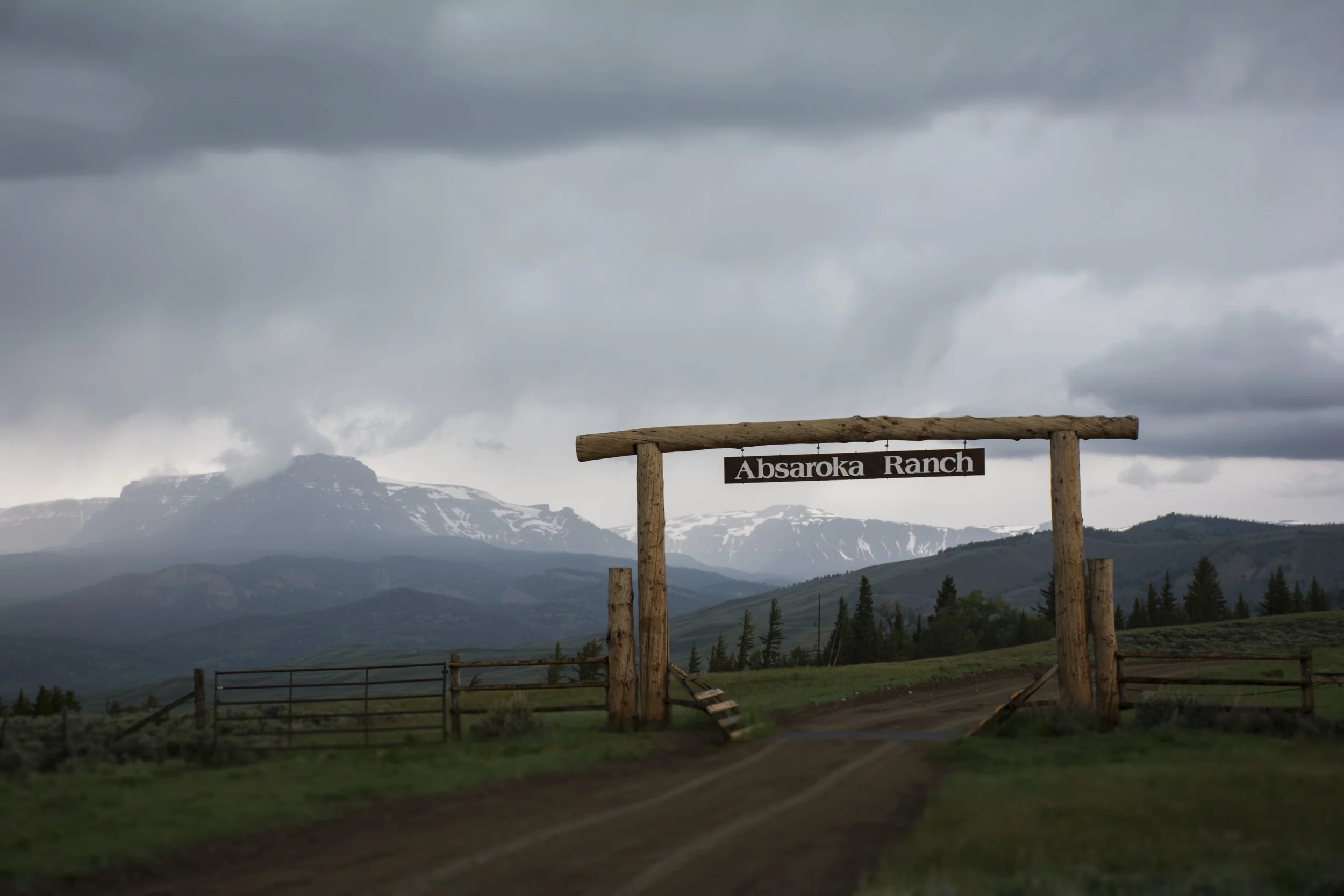 Lauren Laws Equine 17.jpg