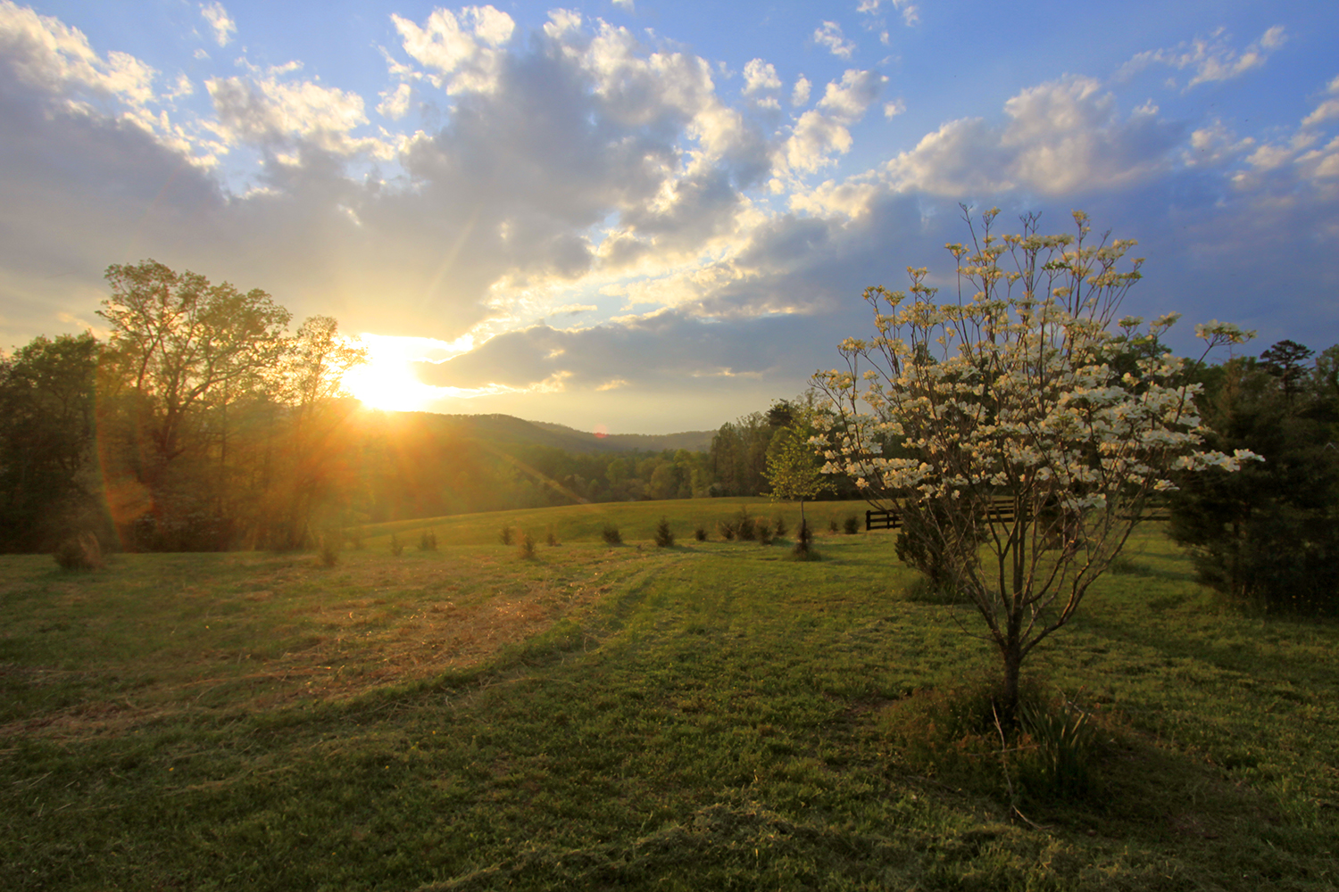 Free Union, Virginia