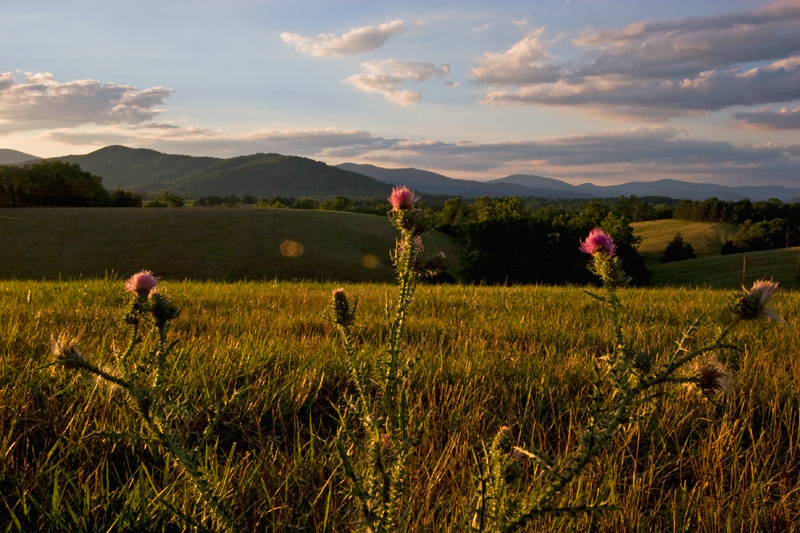 Charlottesville, Virginia