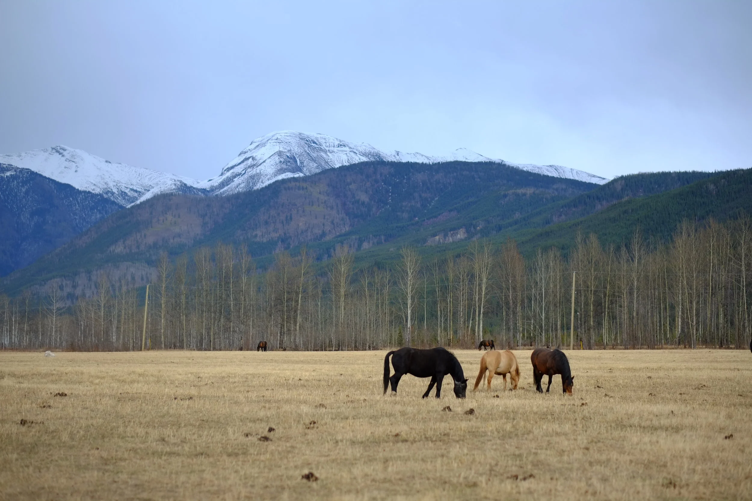 A bit more peaceful environment than the oil patch. 