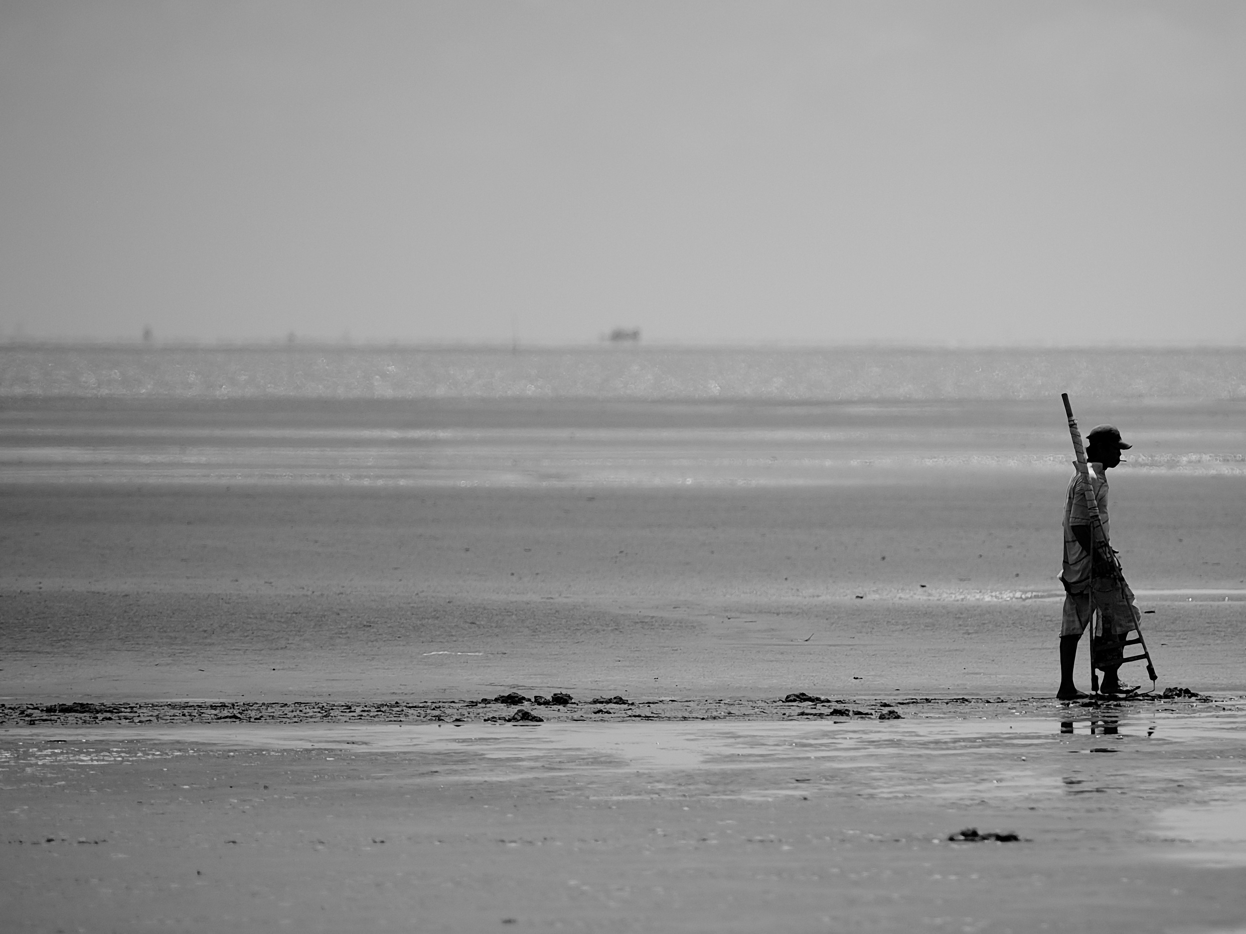 delta_18x24.jpg