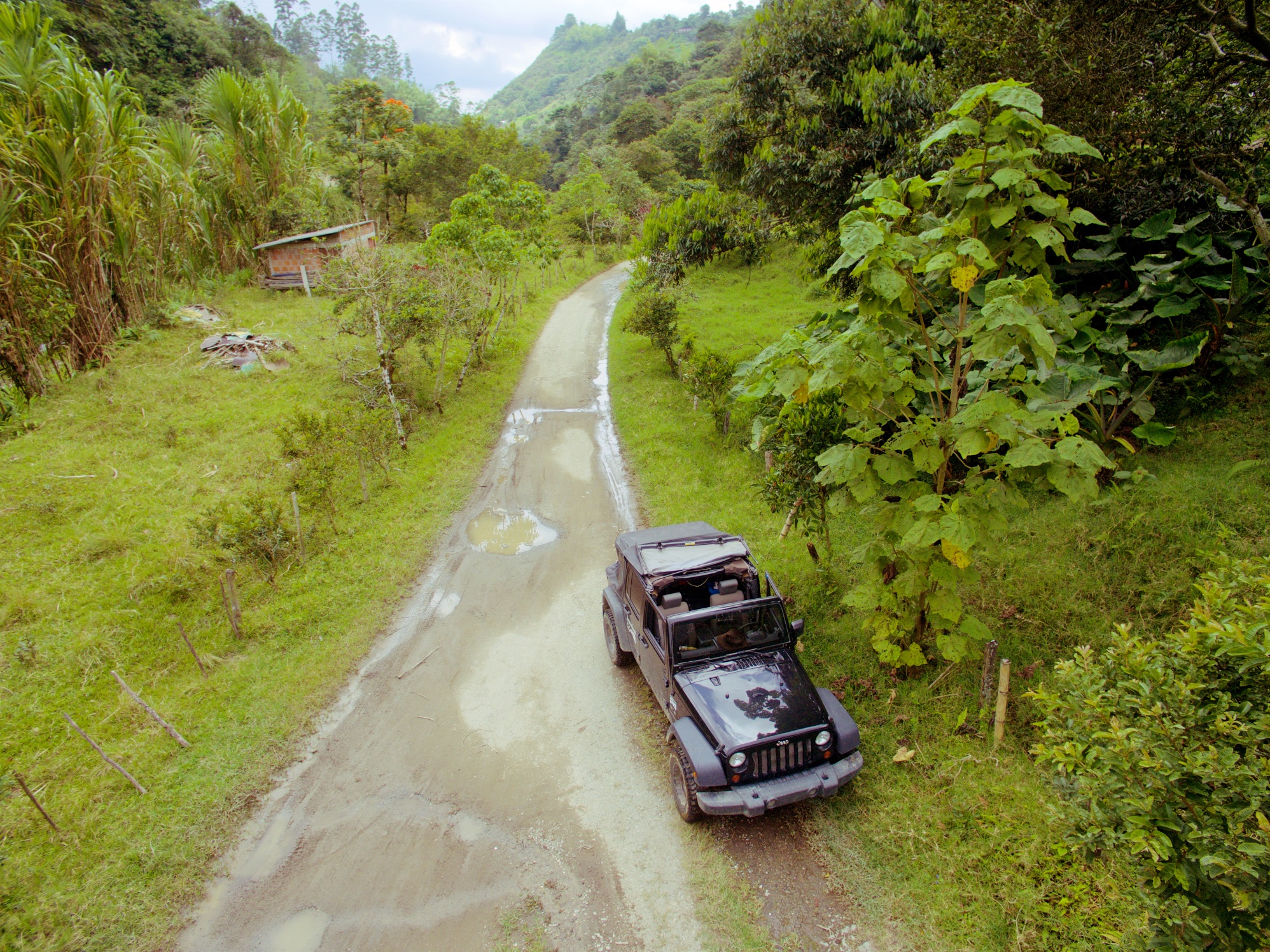 Drone shot of the Jeep near coffee field in Salento, Colombia.