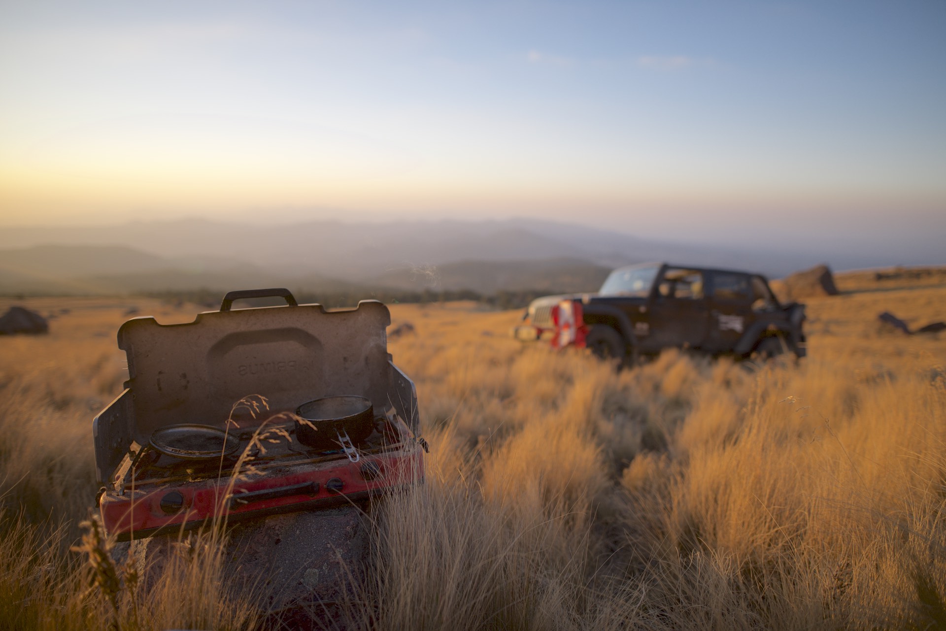 The D800E delivers the nicest colour.