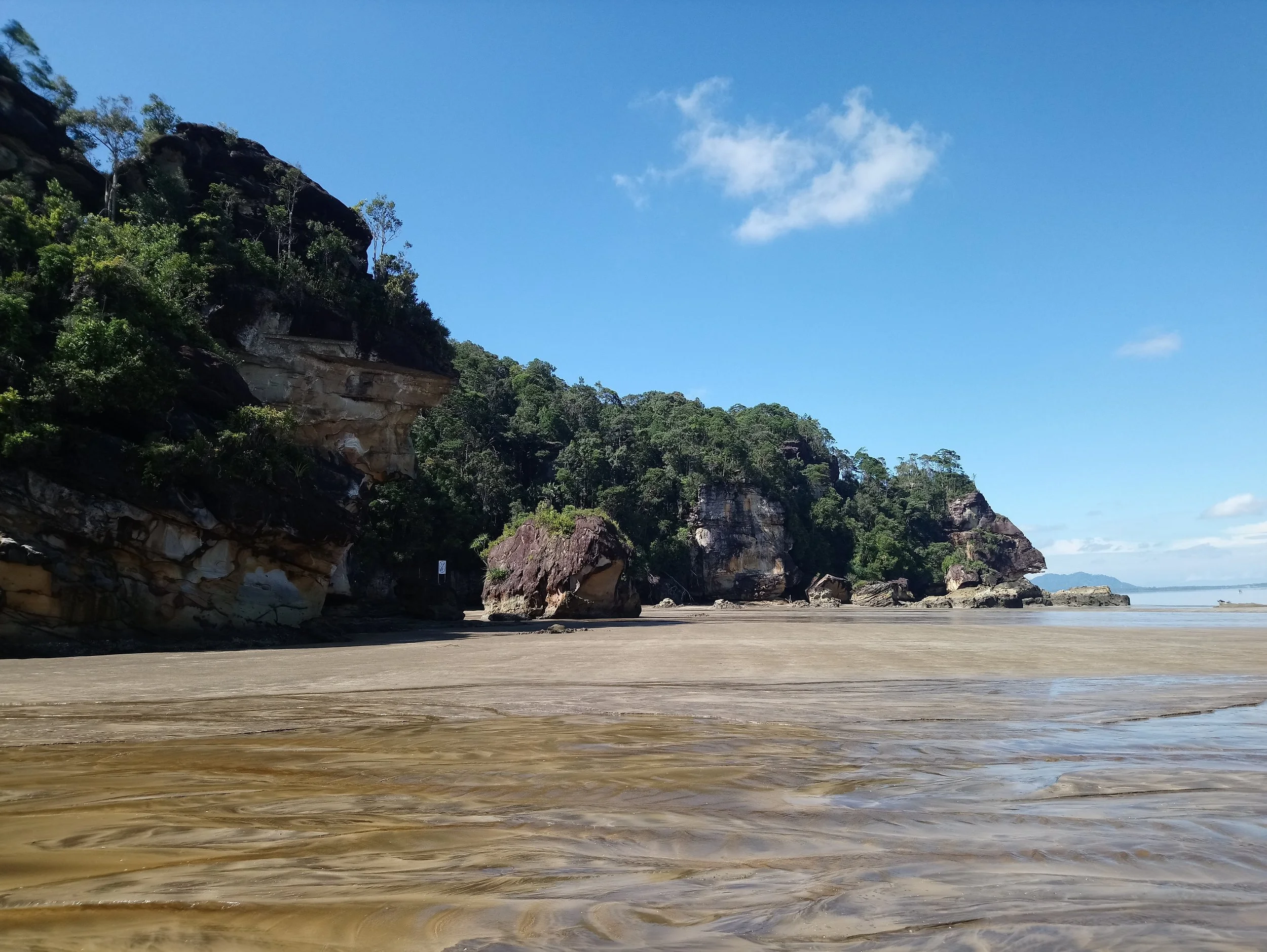 Seeing nature while it last, at Bako National Park.