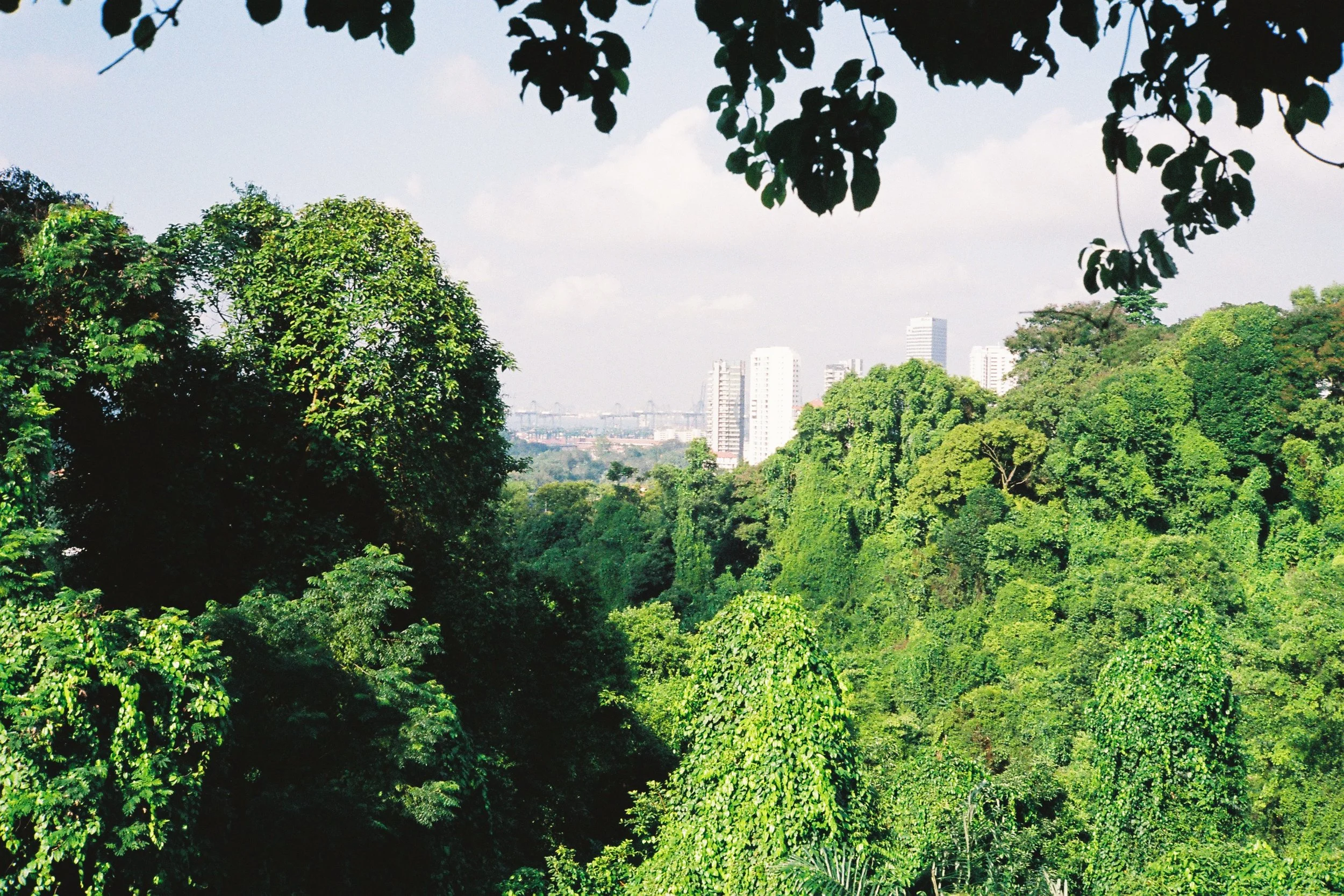 Two first rolls - Kodak ultra-max 400 ISO + Canon QL19 and Kodak Gold 400 ISO