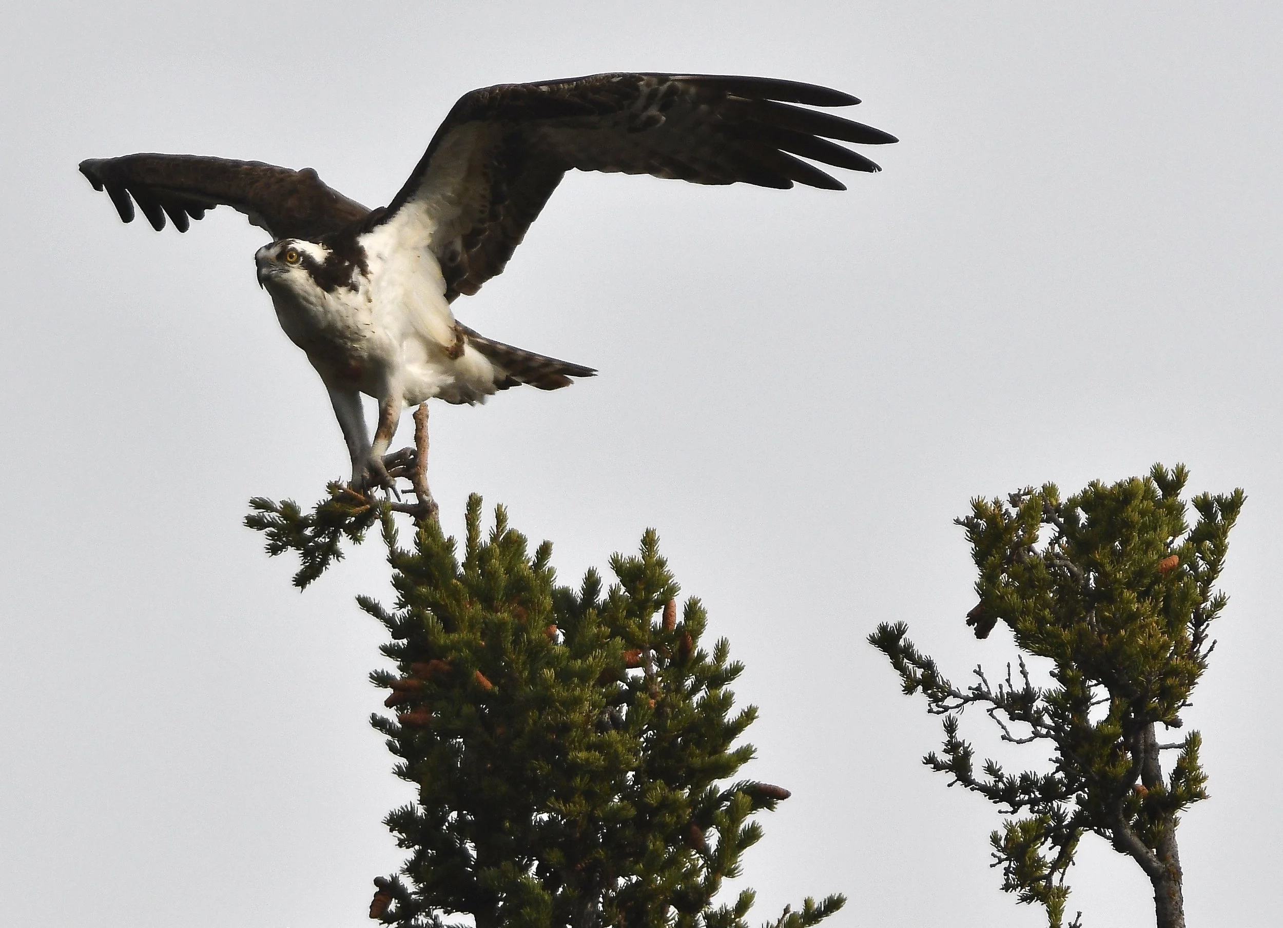 DSC_1247.jpg