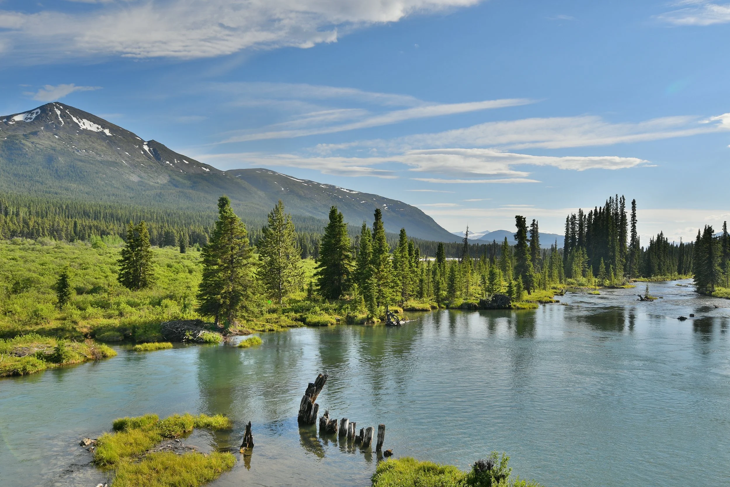 Good life decision = Getting paid to be in nature.