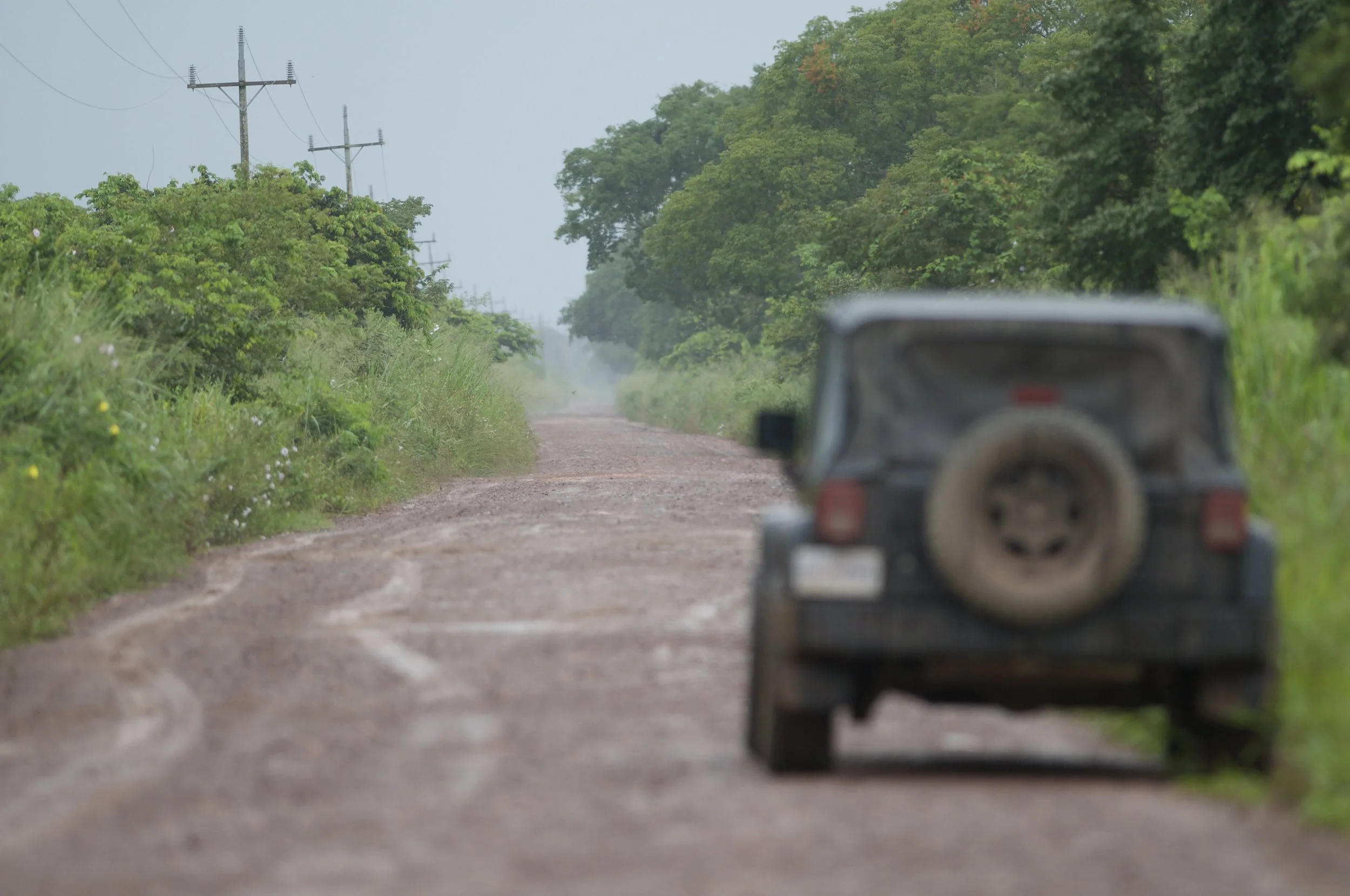 After you crossed the Corumba border (which is confusingly very easy, almost too easy), you’ll get to Campo Grande. It’s the gateway to the pantanal, Brazil’s best secret for wildlife photography.