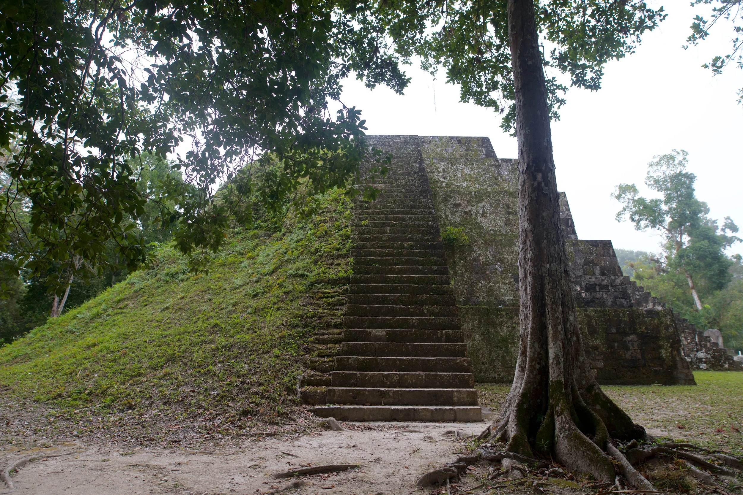 We visited Tikal in Northern Guatemala. Worth it.