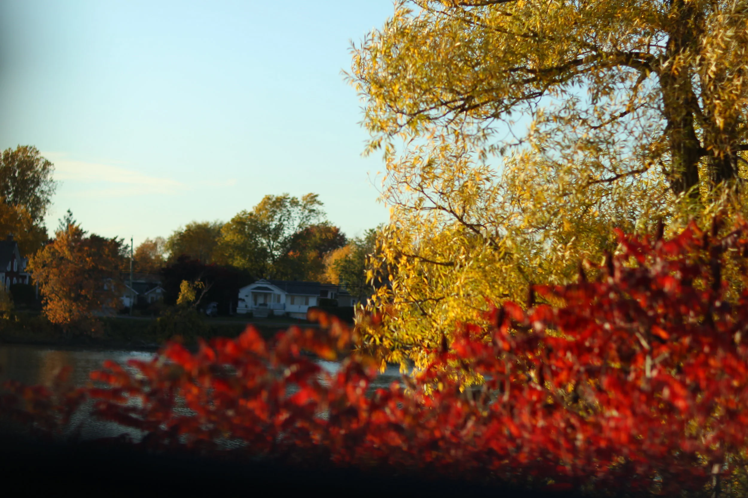 On the easiness of living in Quebec (essay)