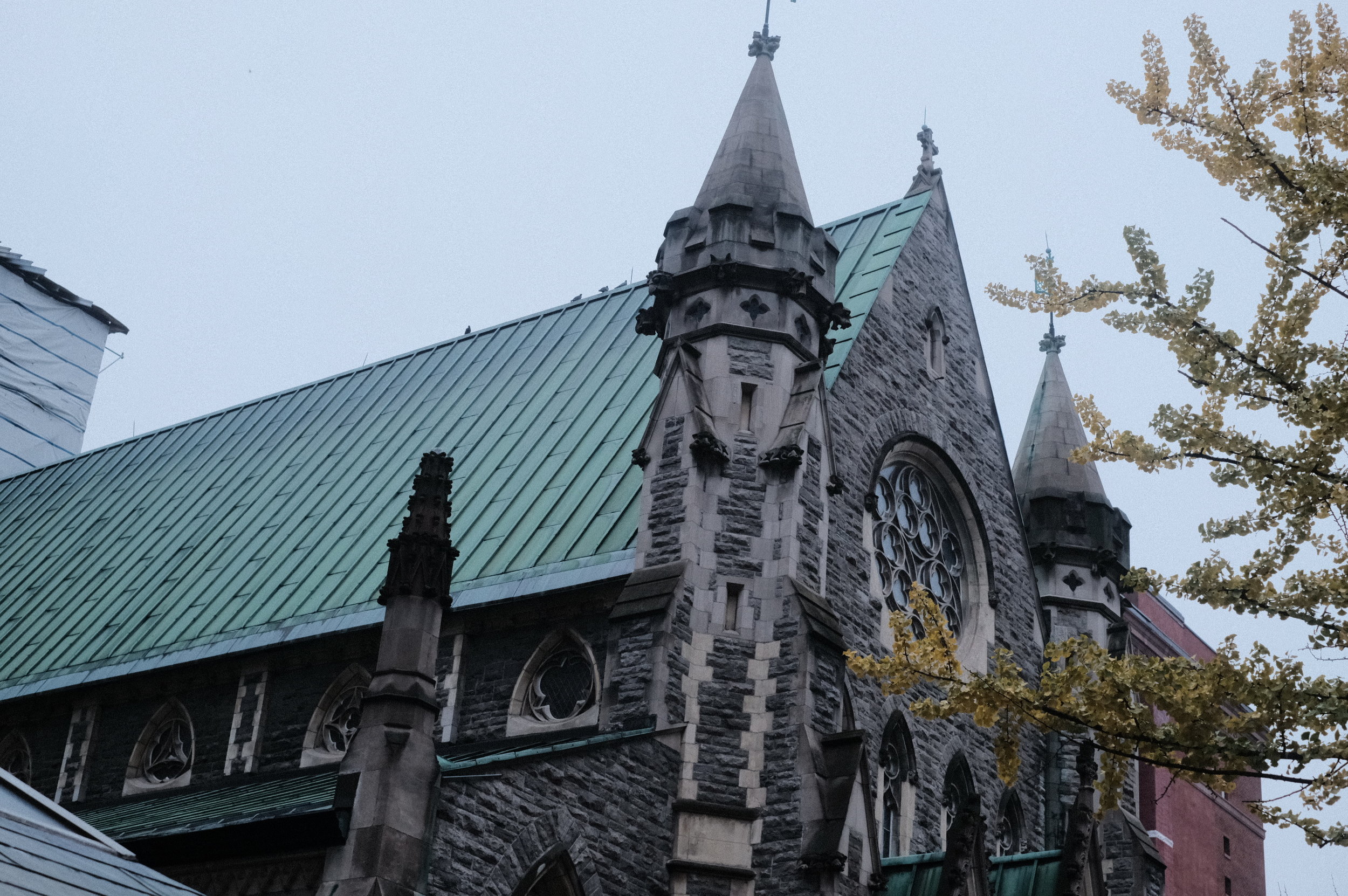 When the people fight back