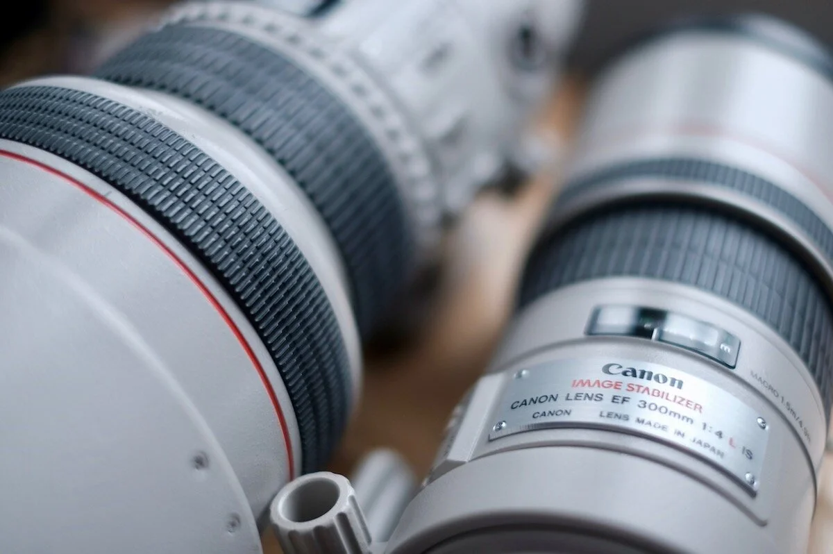 300mm f 4 is vs 300mm f 2 8 usm hands on review the most beautiful world