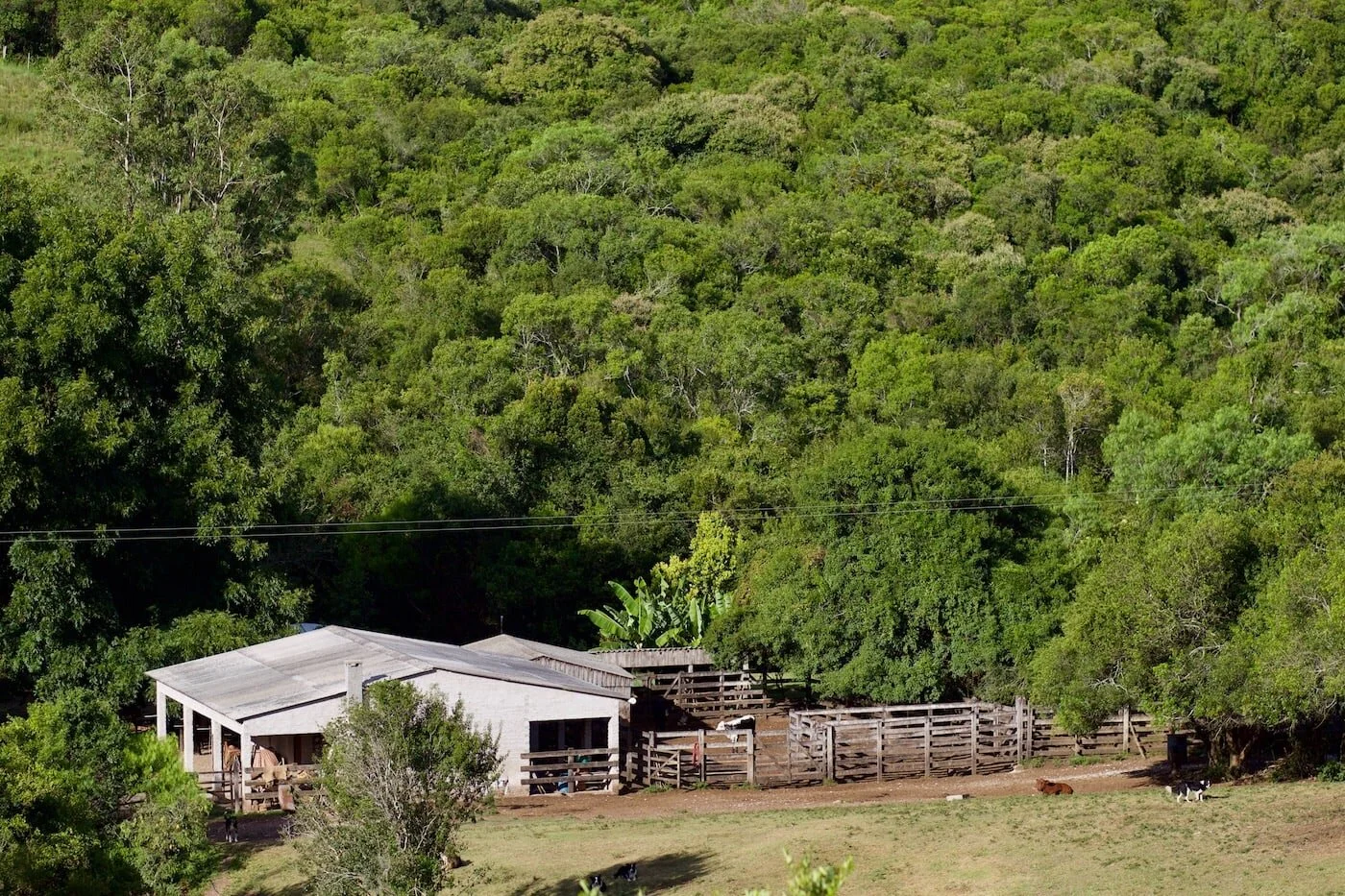 Updates from The Ranch