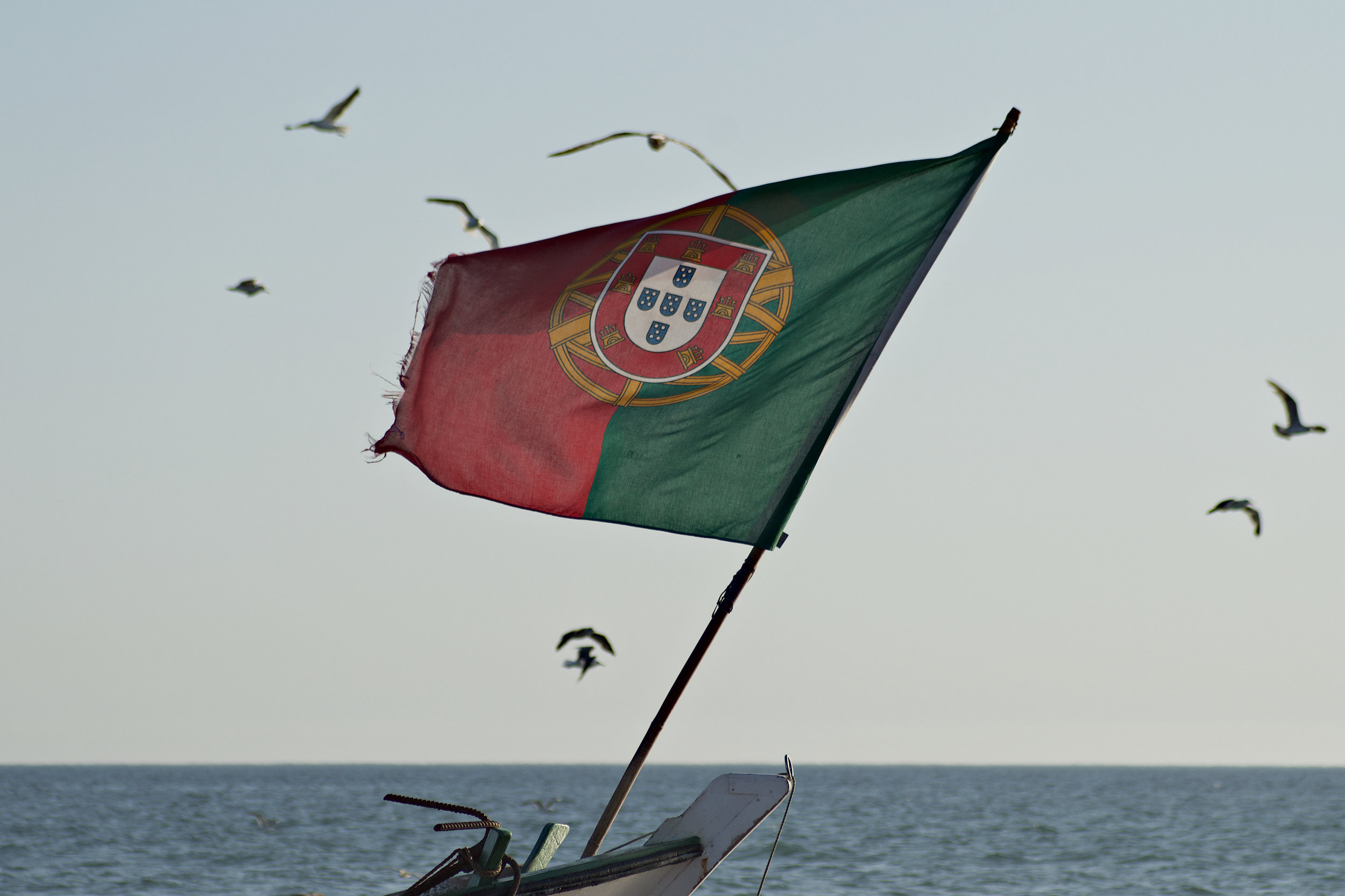 Mandatory vaccine coming now to... Portugual!