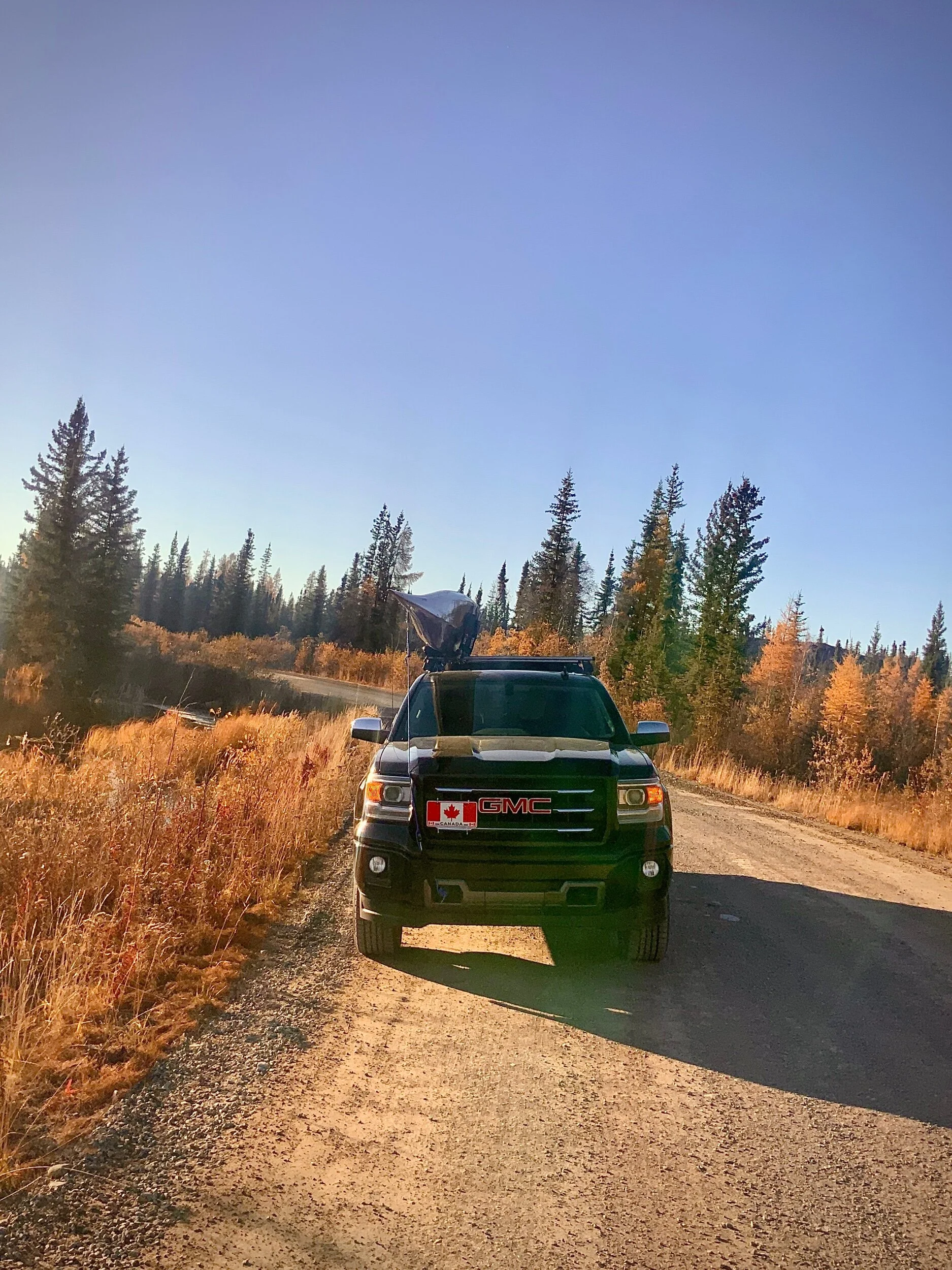 The NWO is in full swing…