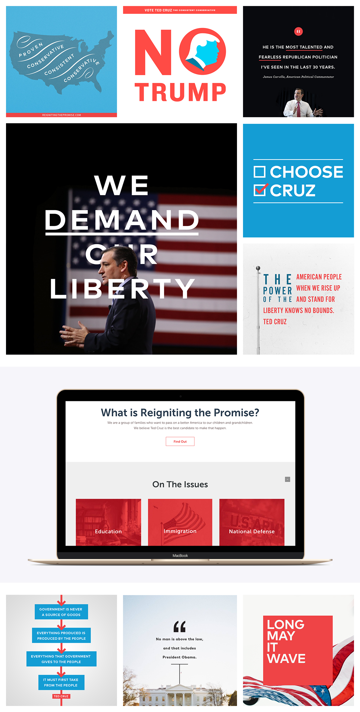 TedCruz_Portfolio.png