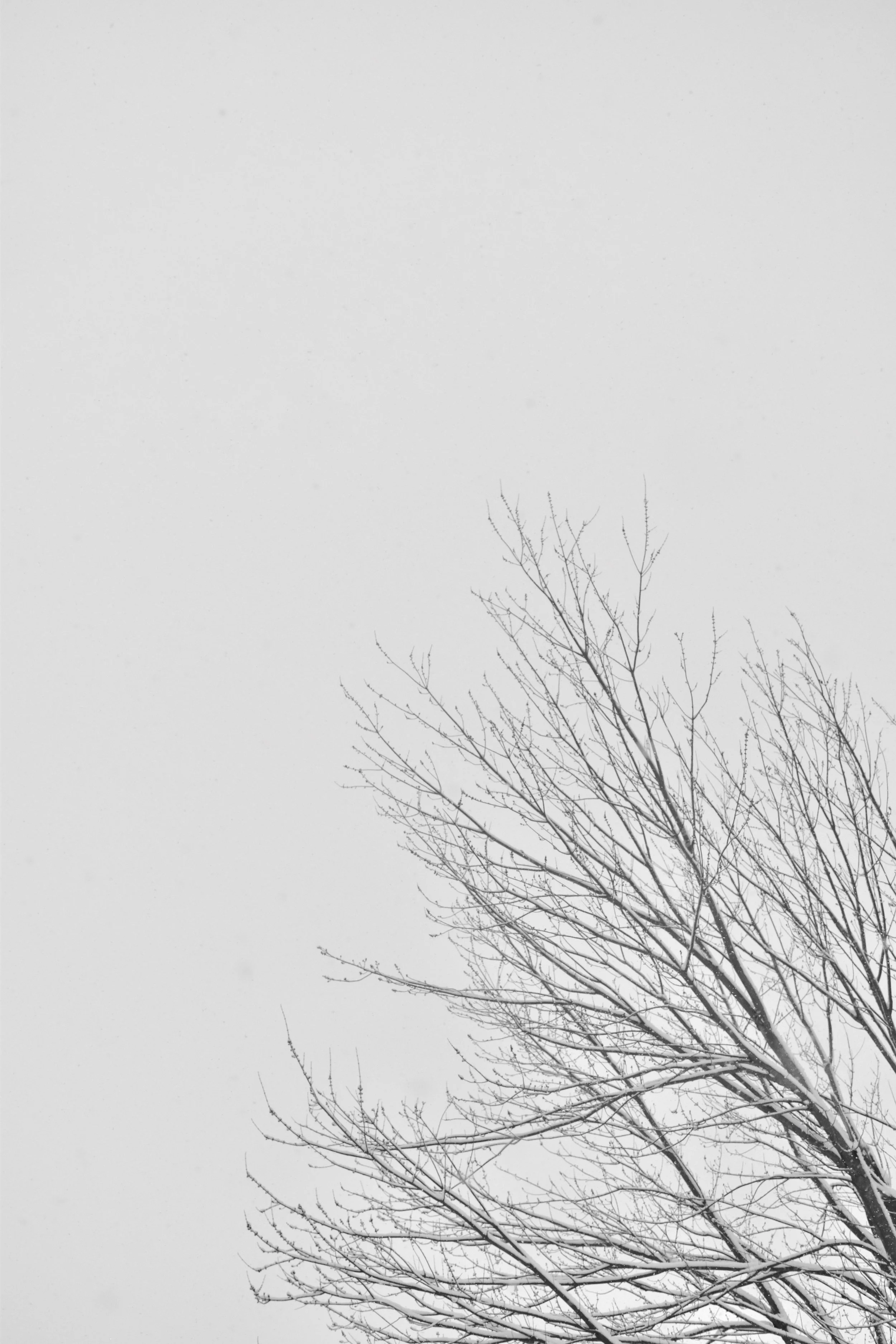 DSC_0935.jpg