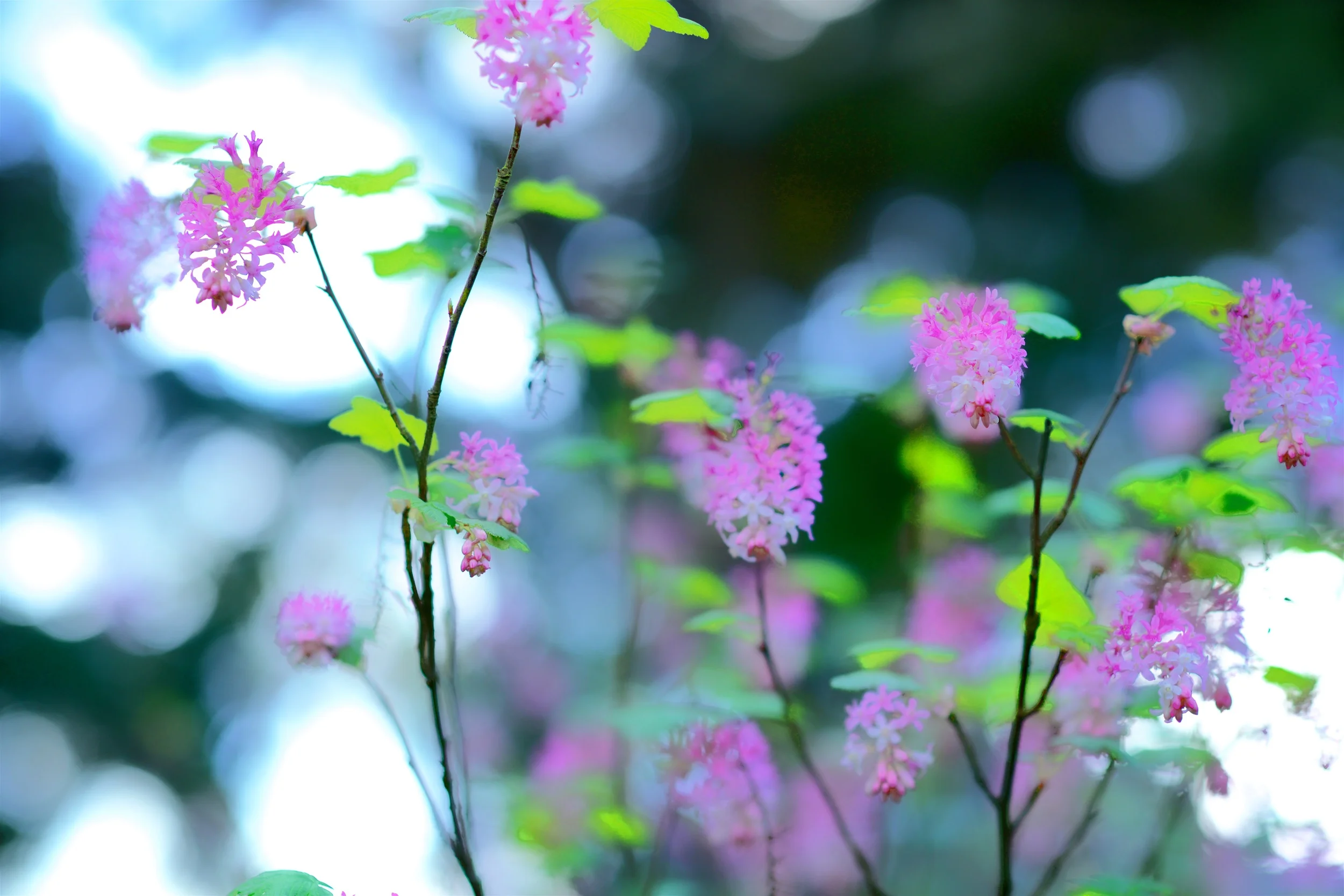 SW2_0421.jpg