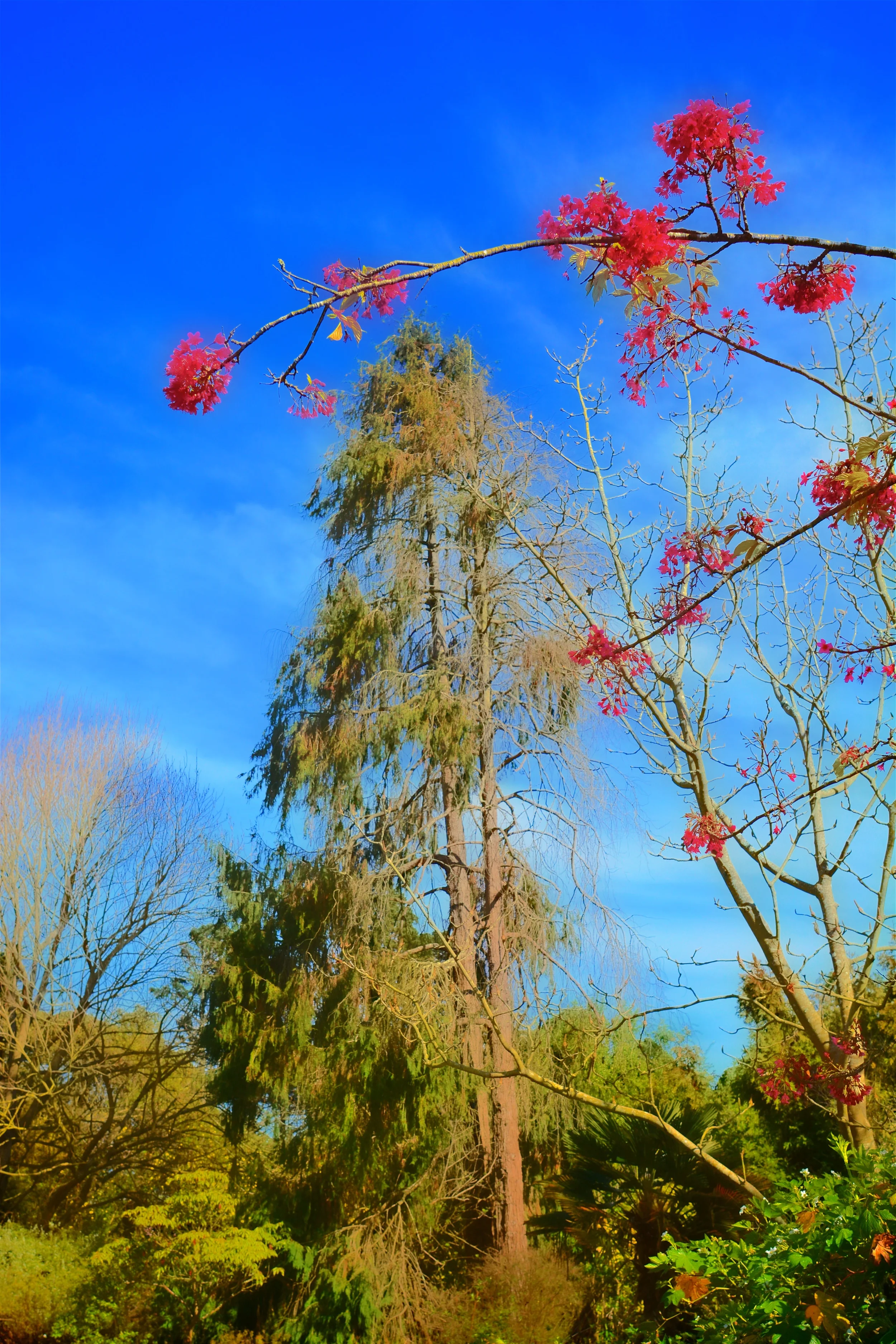 SW1_0509.jpg