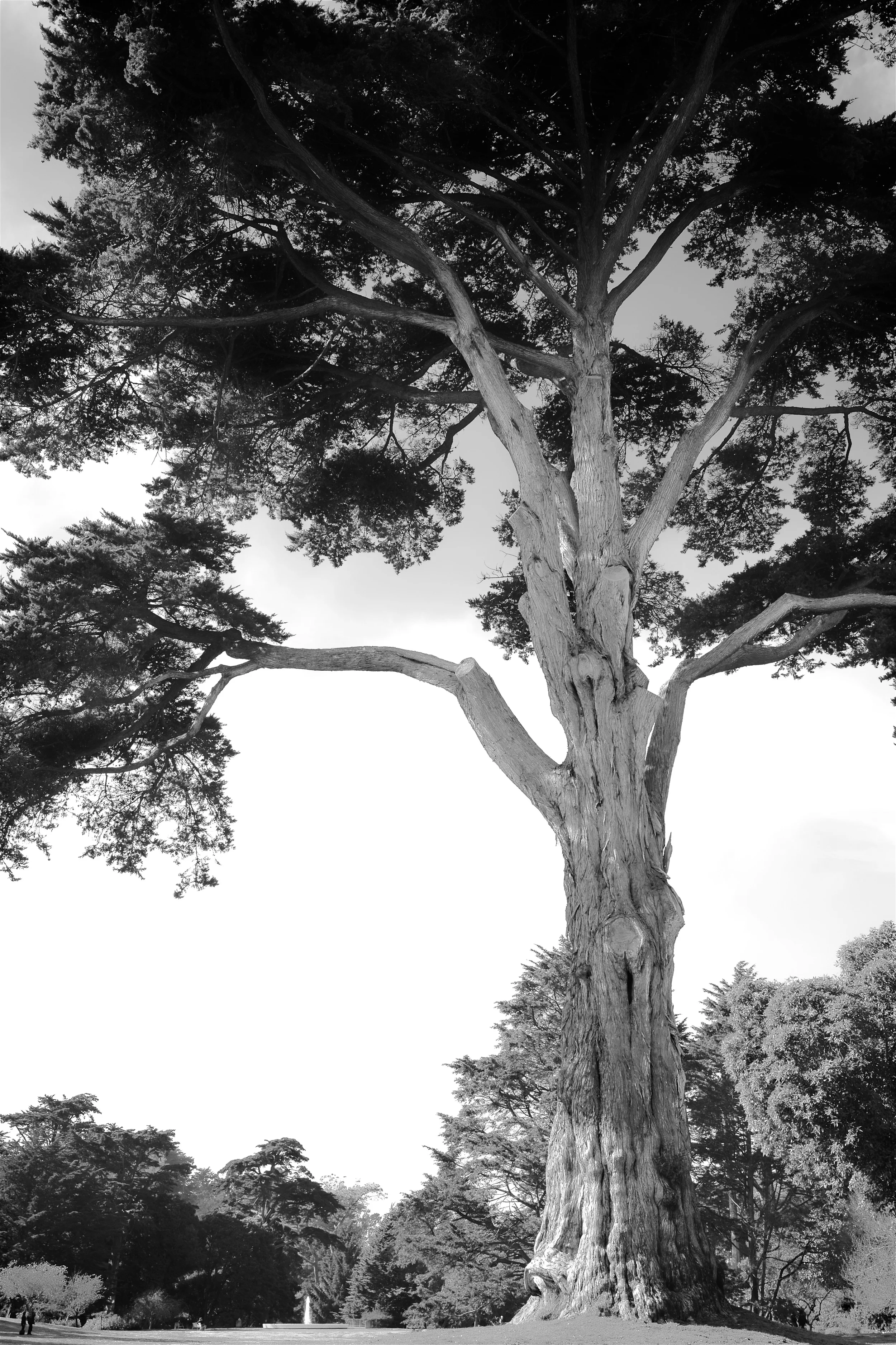 SW1_0513 - Version 2.jpg