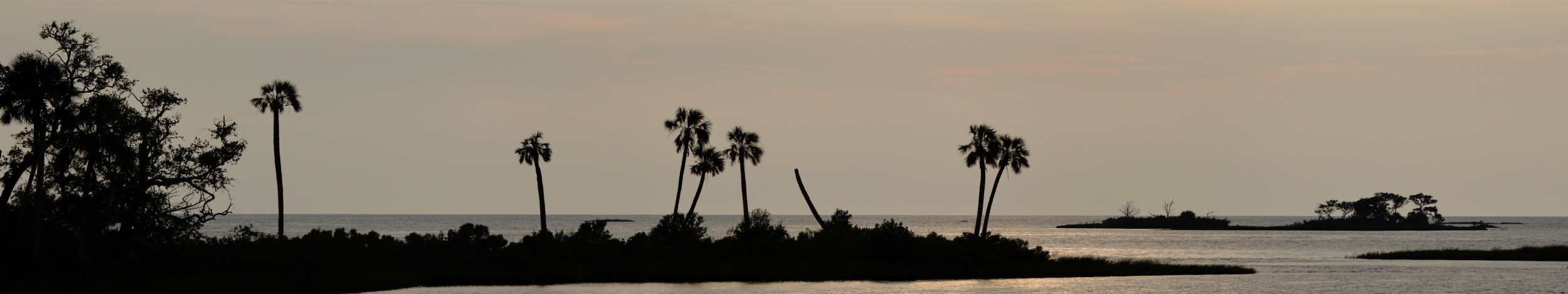 Withlacoochee River Entrance