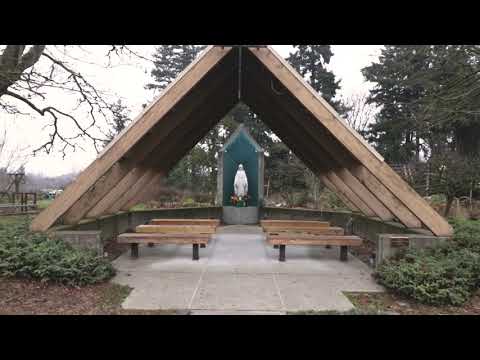 Coffee Oasis Tacoma Shelter