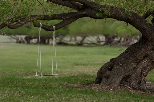 Swing_143668459.jpg