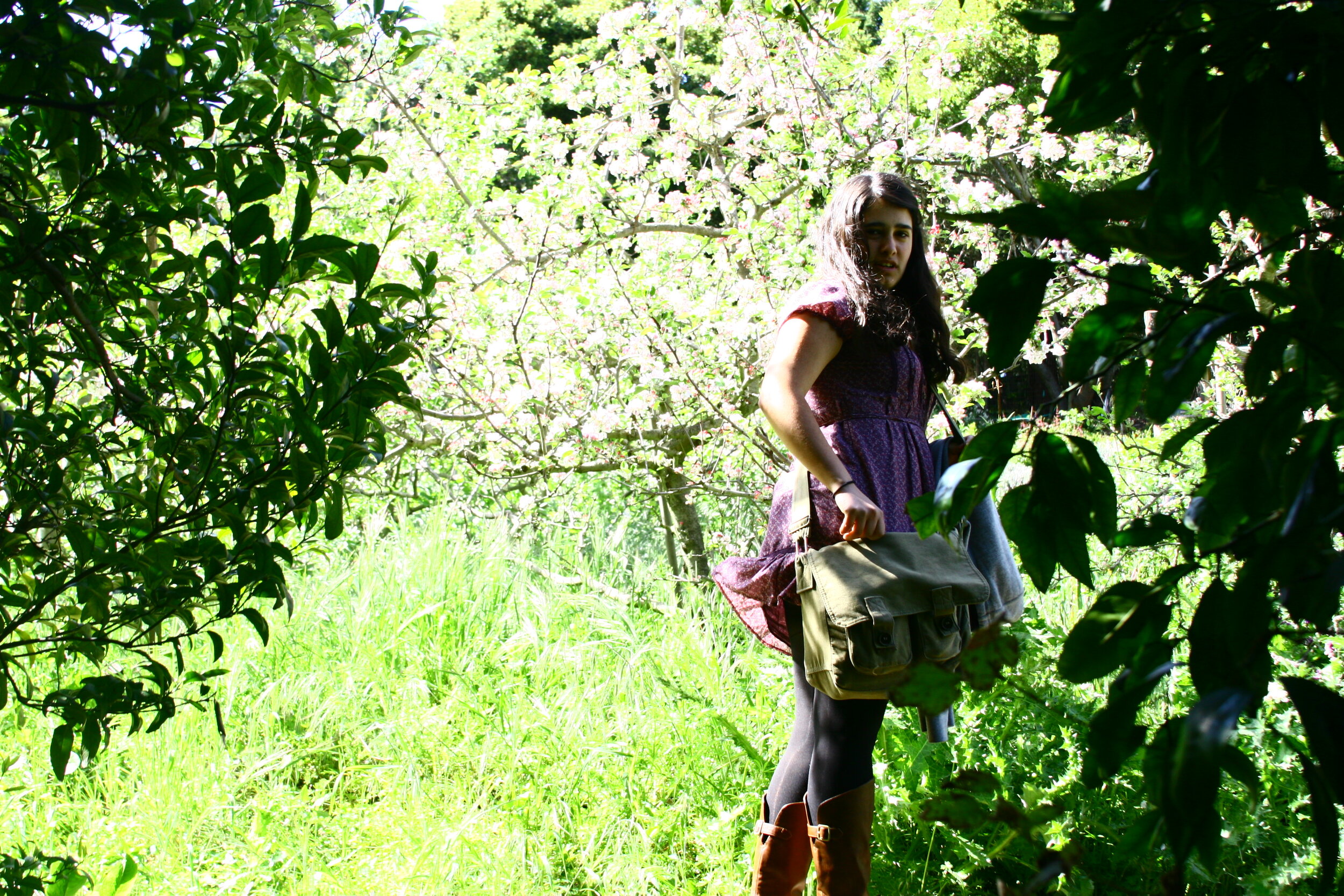 Take One Ramona 003.JPG