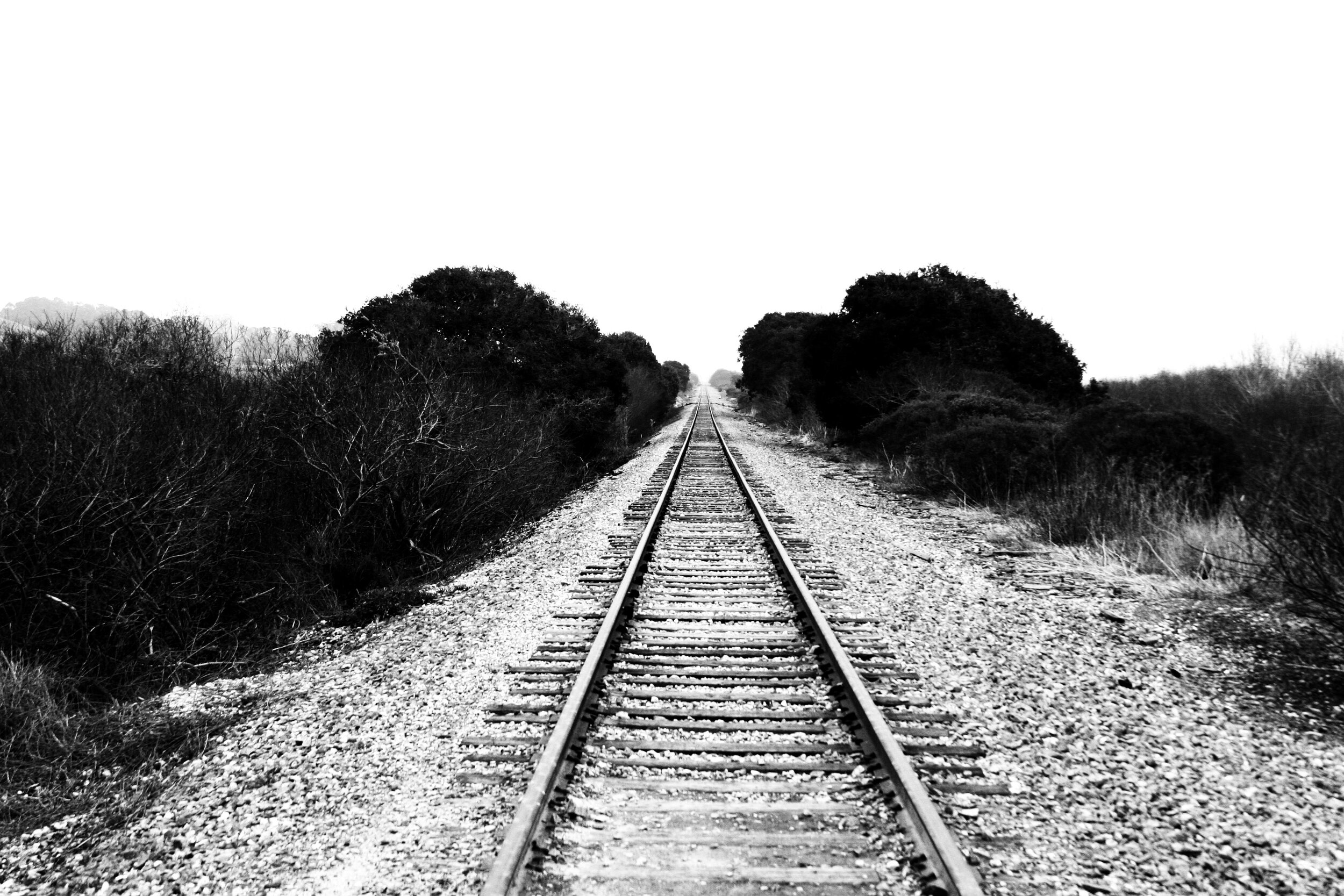 Untitled 2 UCSC 091.JPG