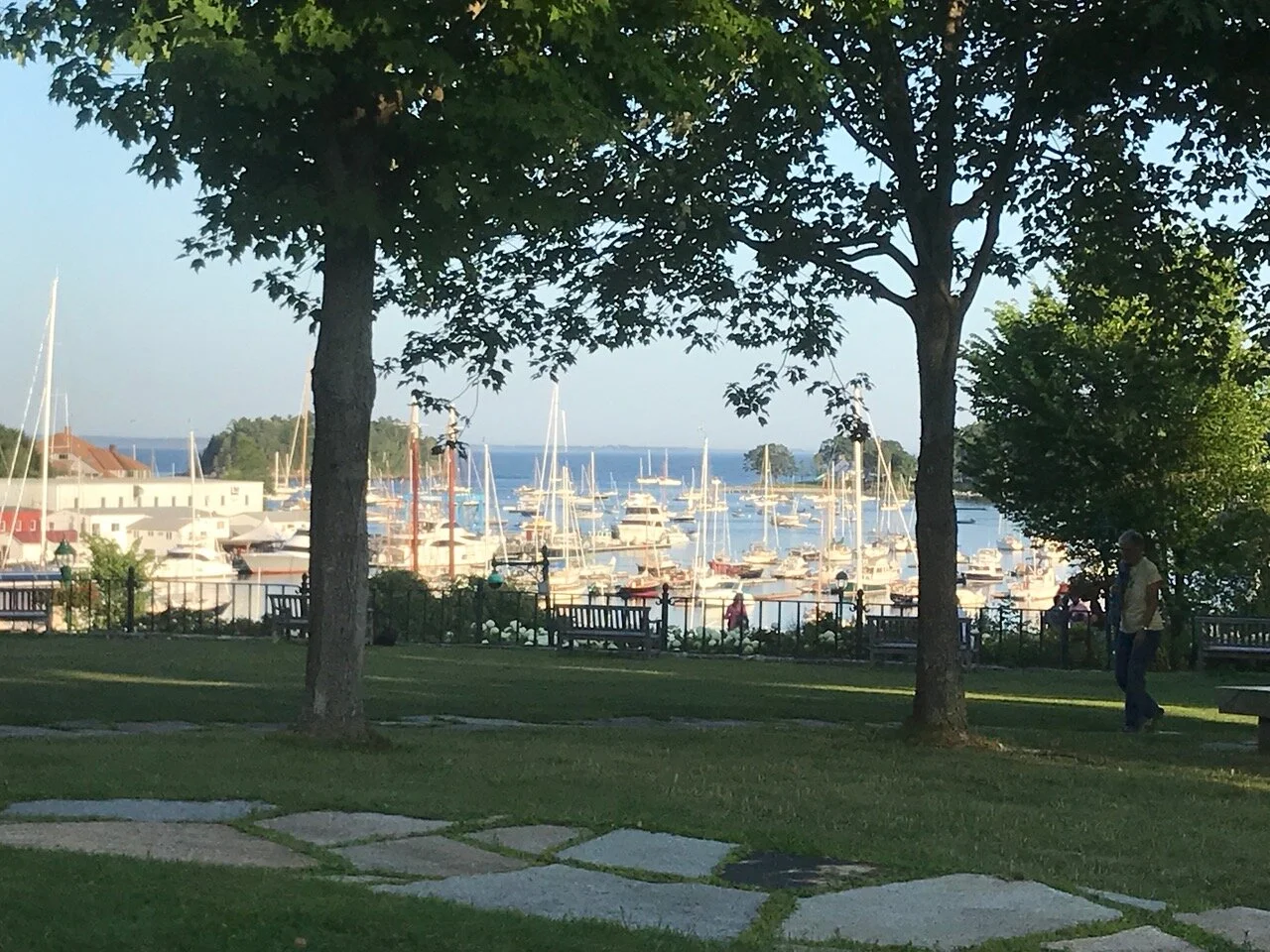harbor.jpeg