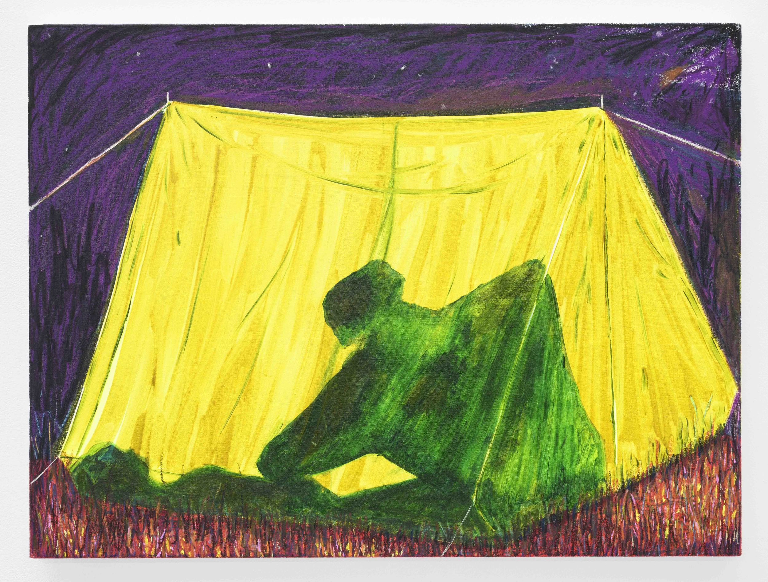 Sex in a Tent  Oil and Acrylic on Cotton  60 x 80 cm  2015 