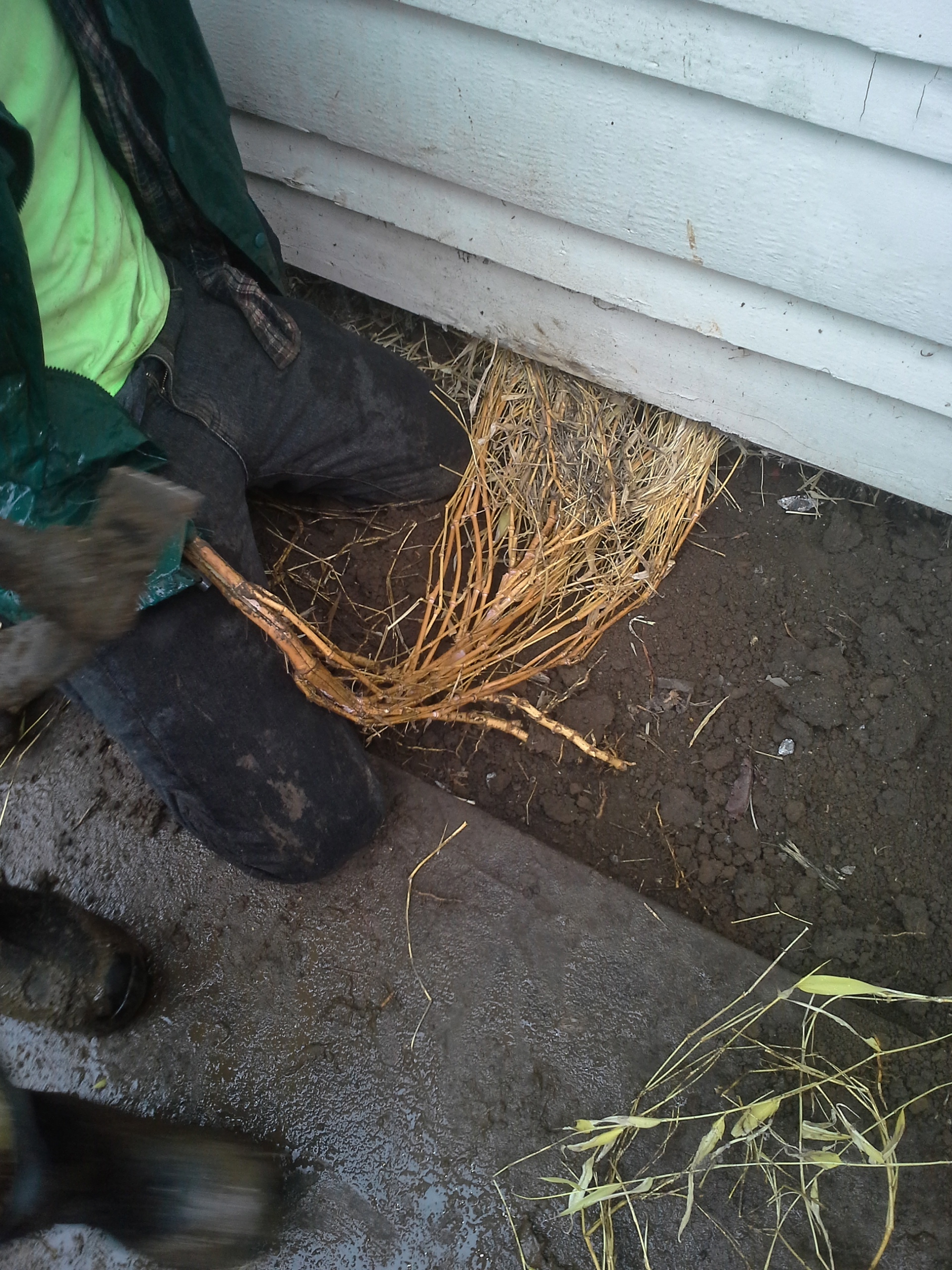 20140227_110736.jpg