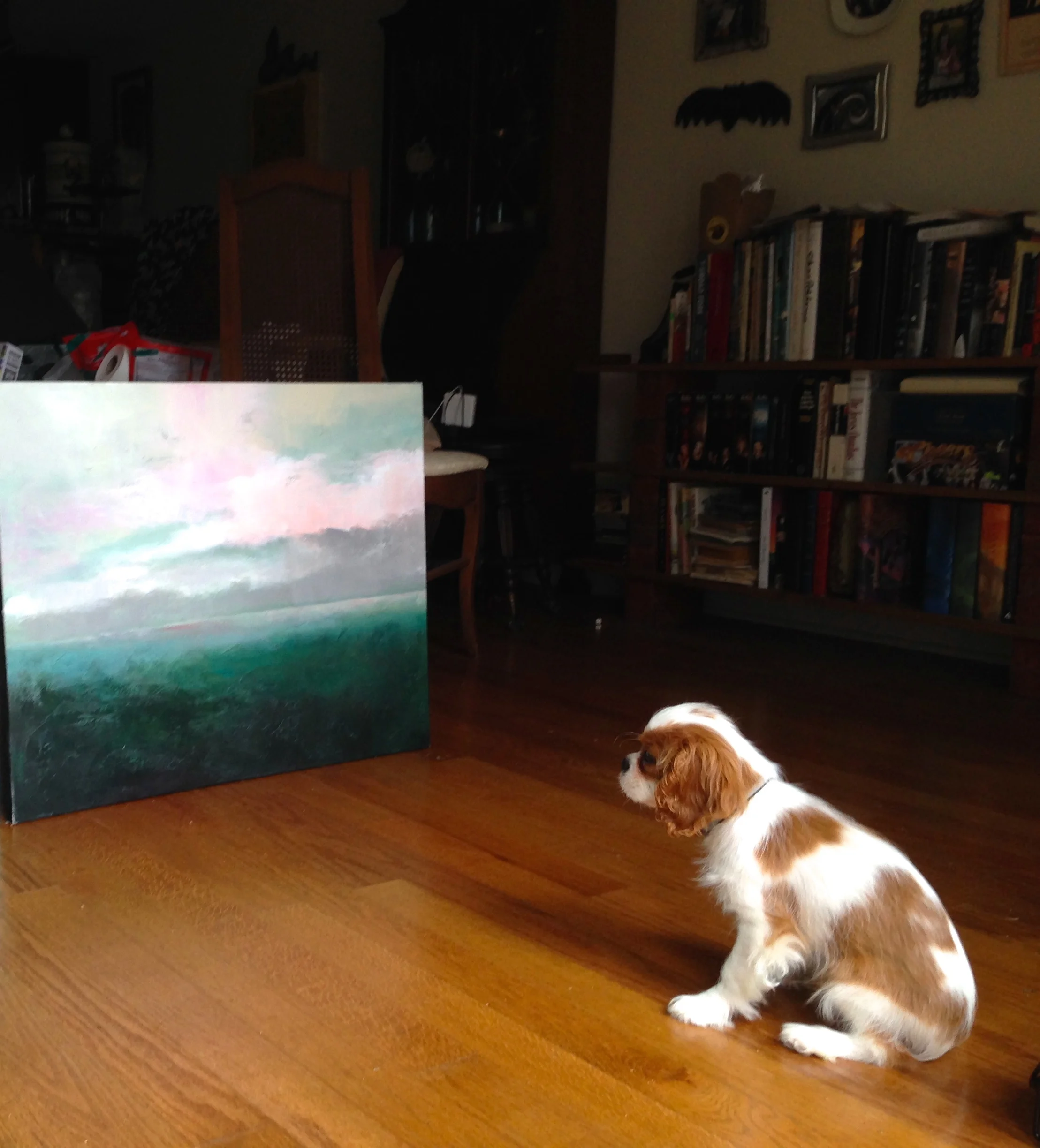 Bucky Admiring Sarah Grahams-2.JPG