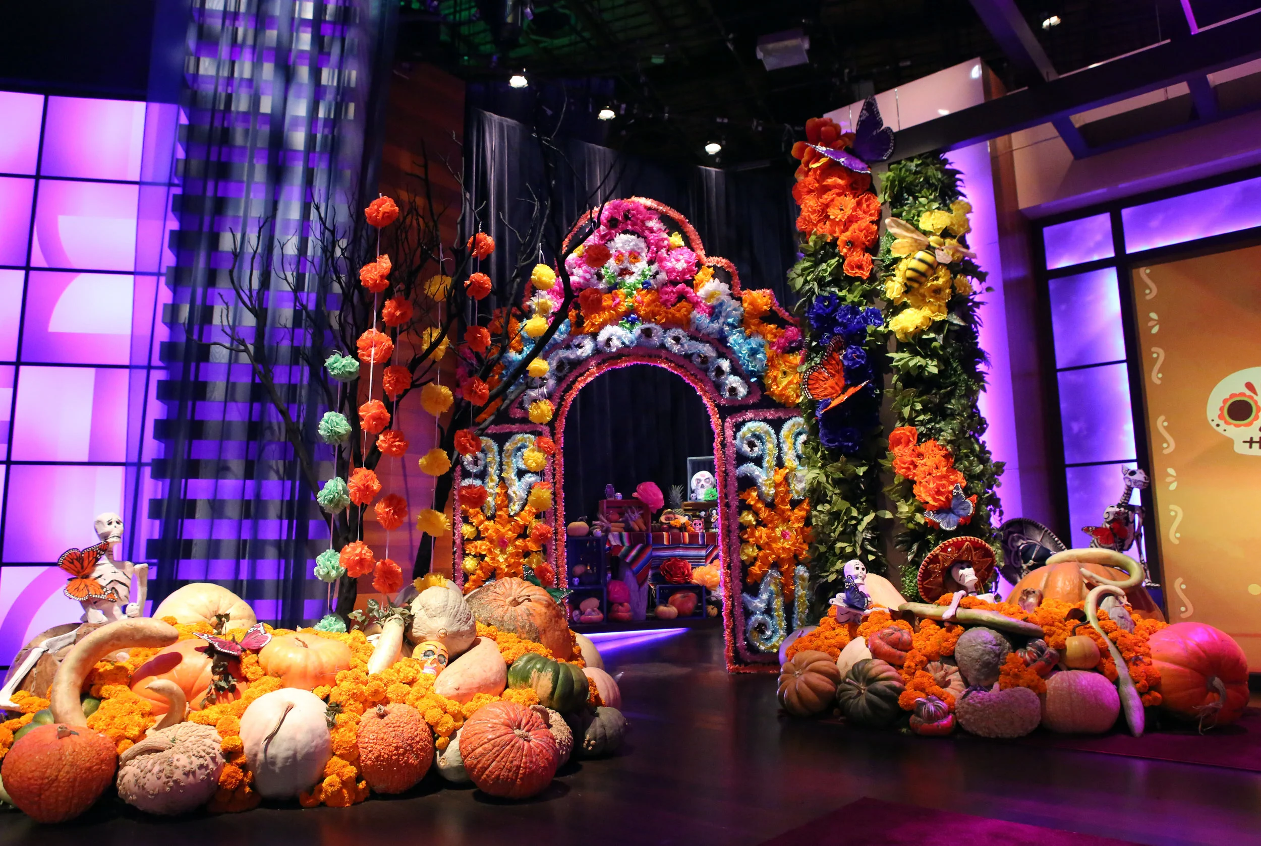 The Ellen Degeneres Show