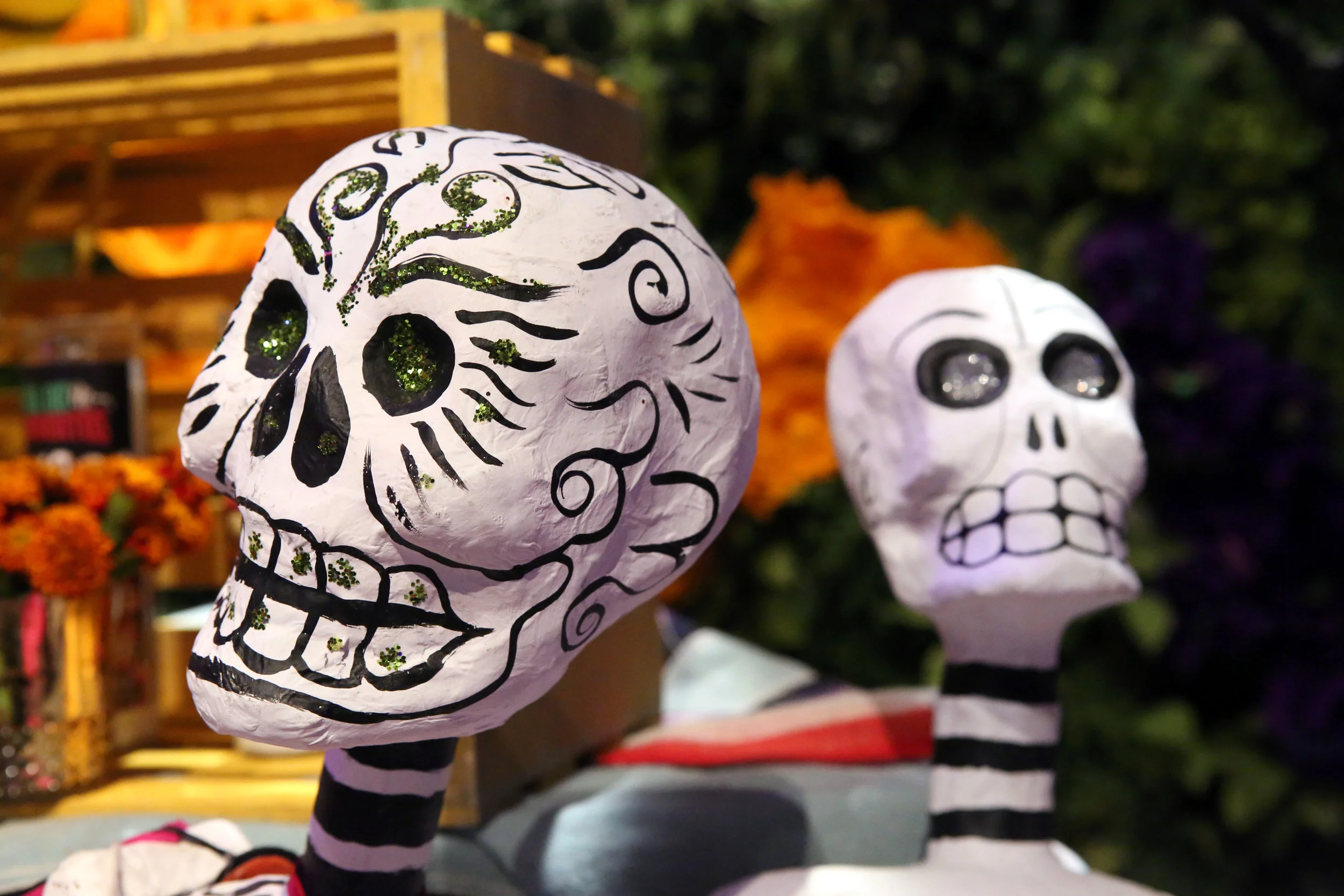 The Ellen Degeneres Show