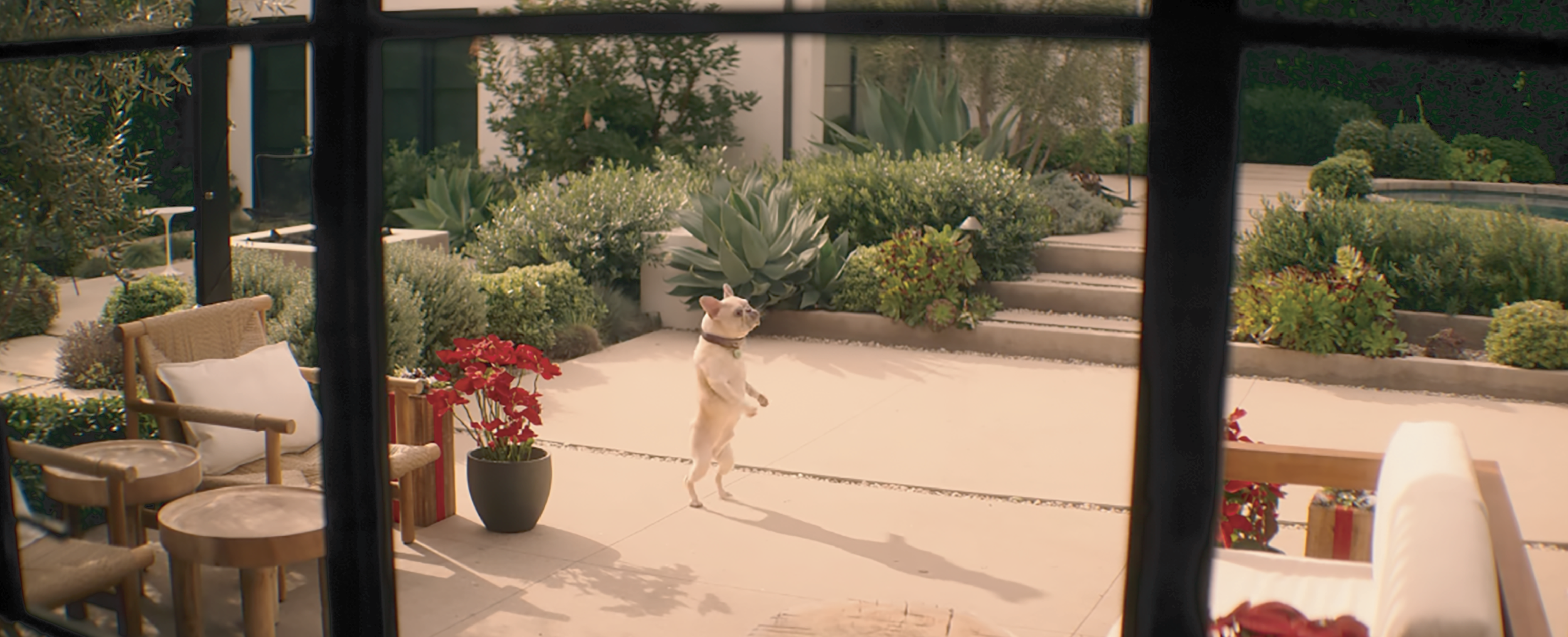 JMD-FAMILY SWITCH STILLS-25.png