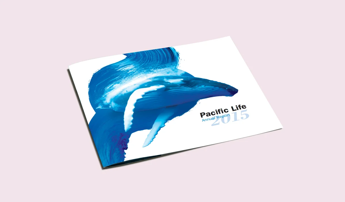 2015_cover.jpg