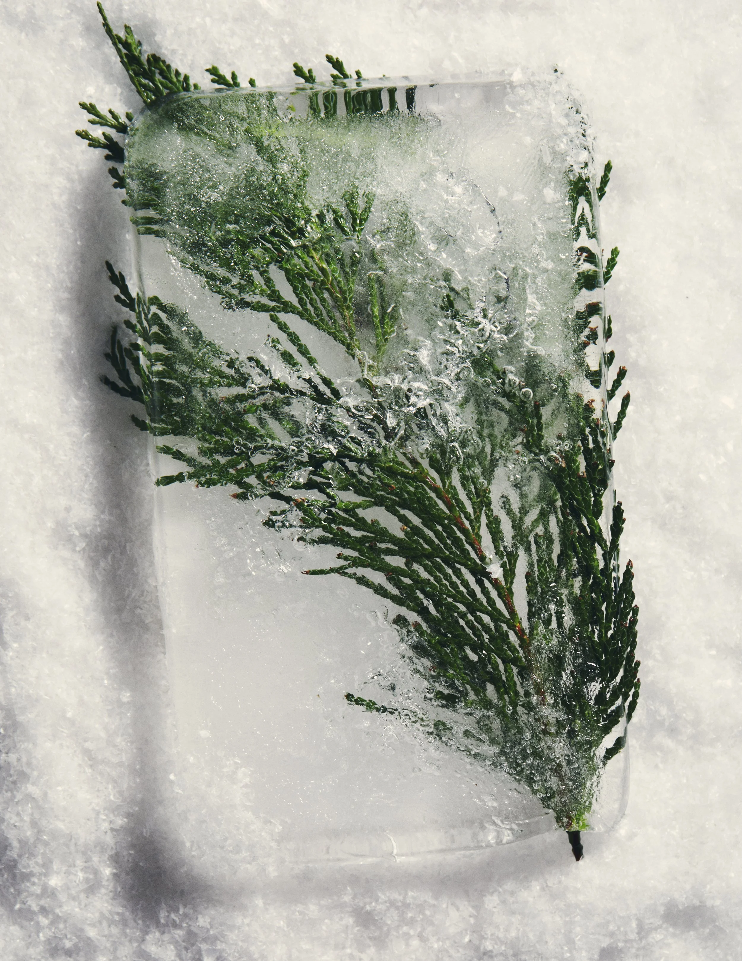 14_11_24_WINTER_BEAUTY_ 19.JPG