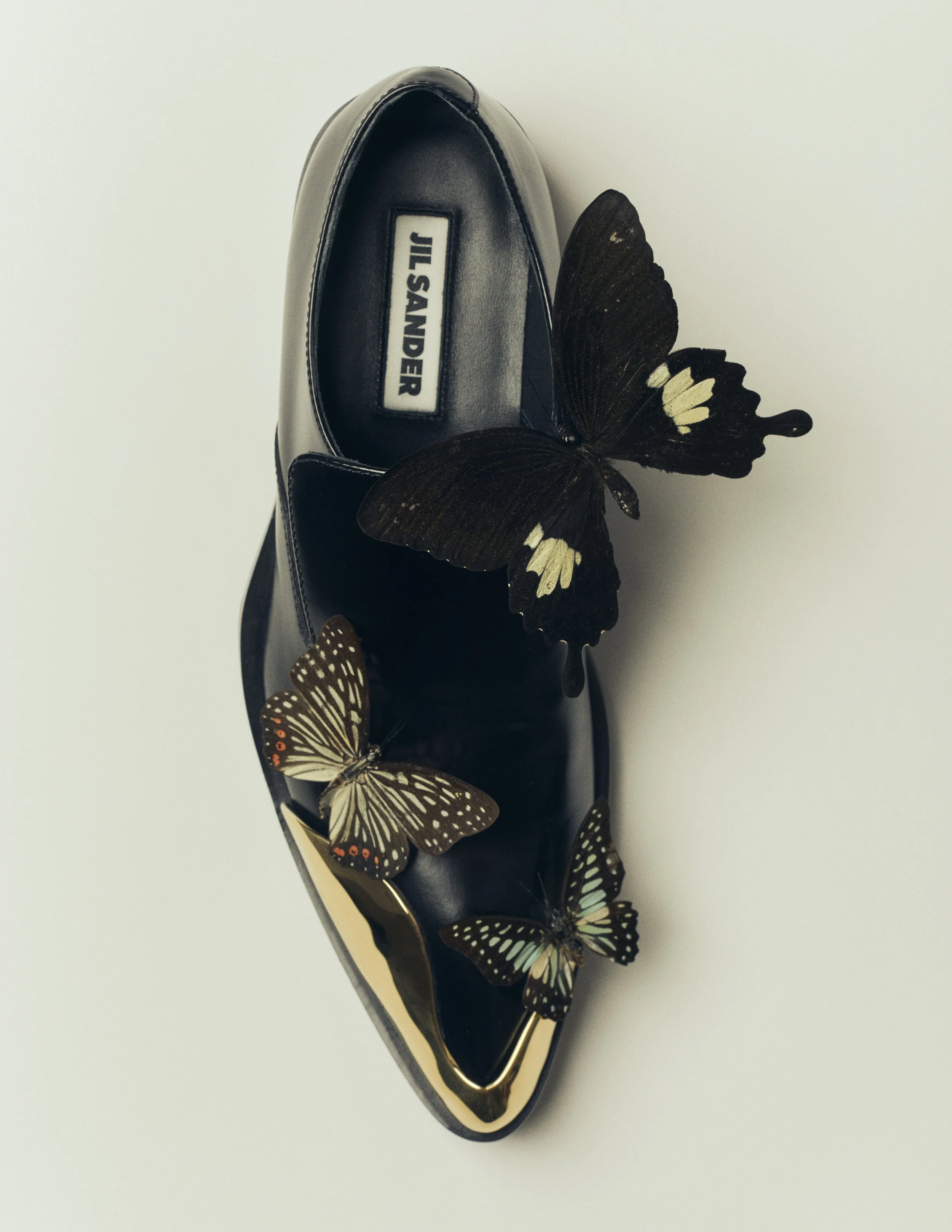 26_06_25_STILL_LIFE_ 12.JPG