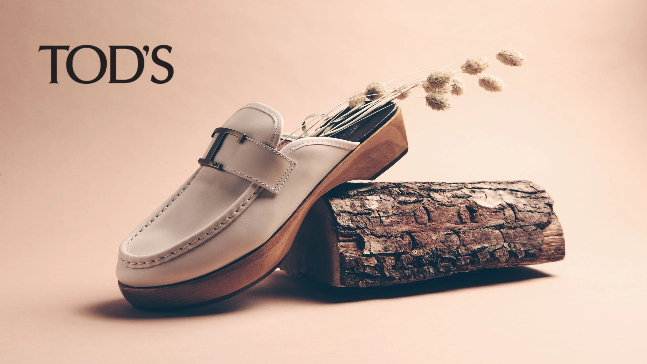 TODS_BANNER_01 55 1.jpg