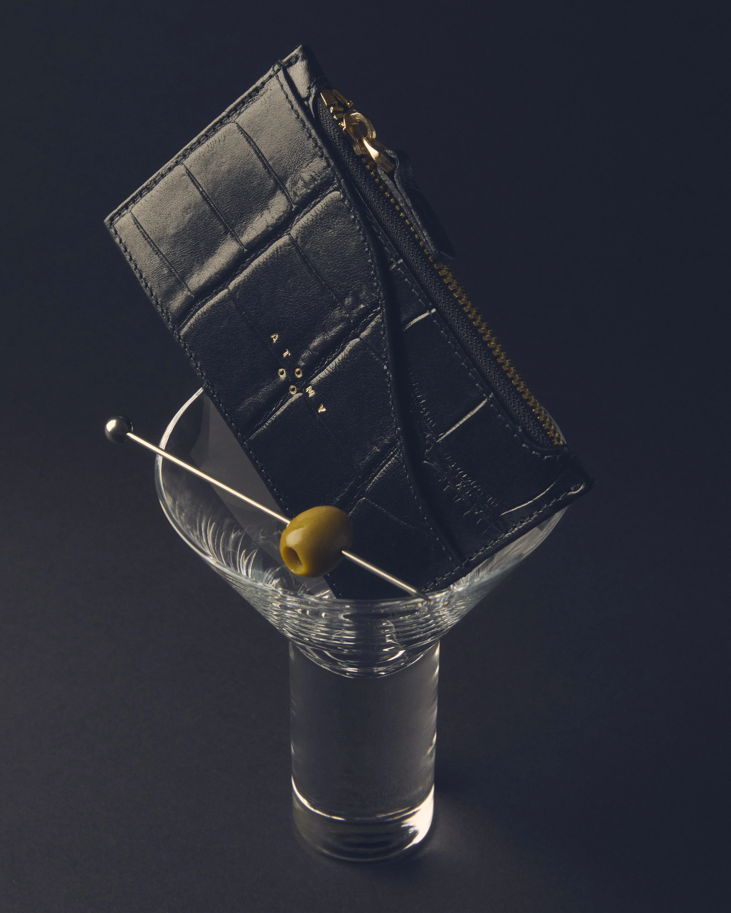 ATOMY STUDIOS CAMPAIGN