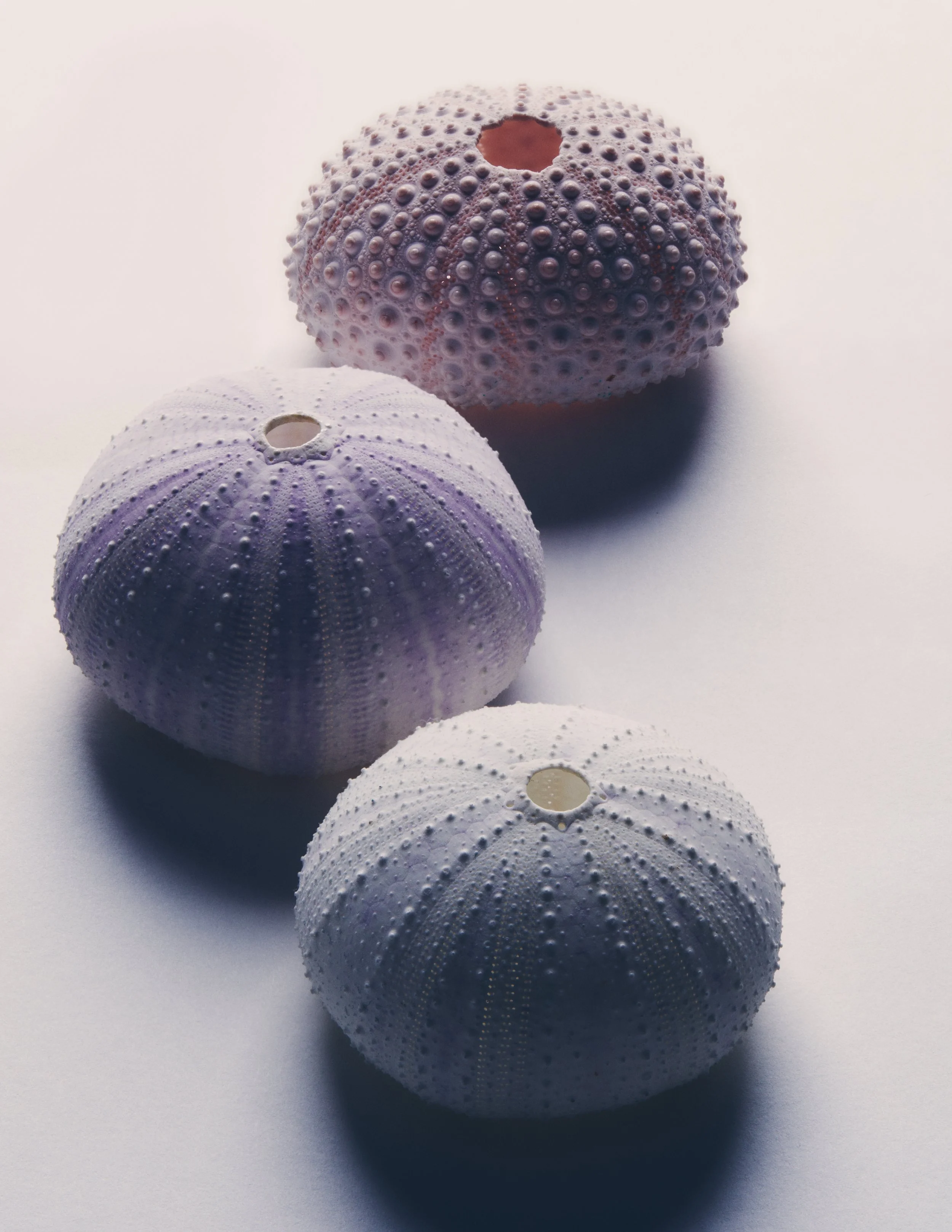 31_01_26_SL_CARTIER_ 4_helic 1.jpg