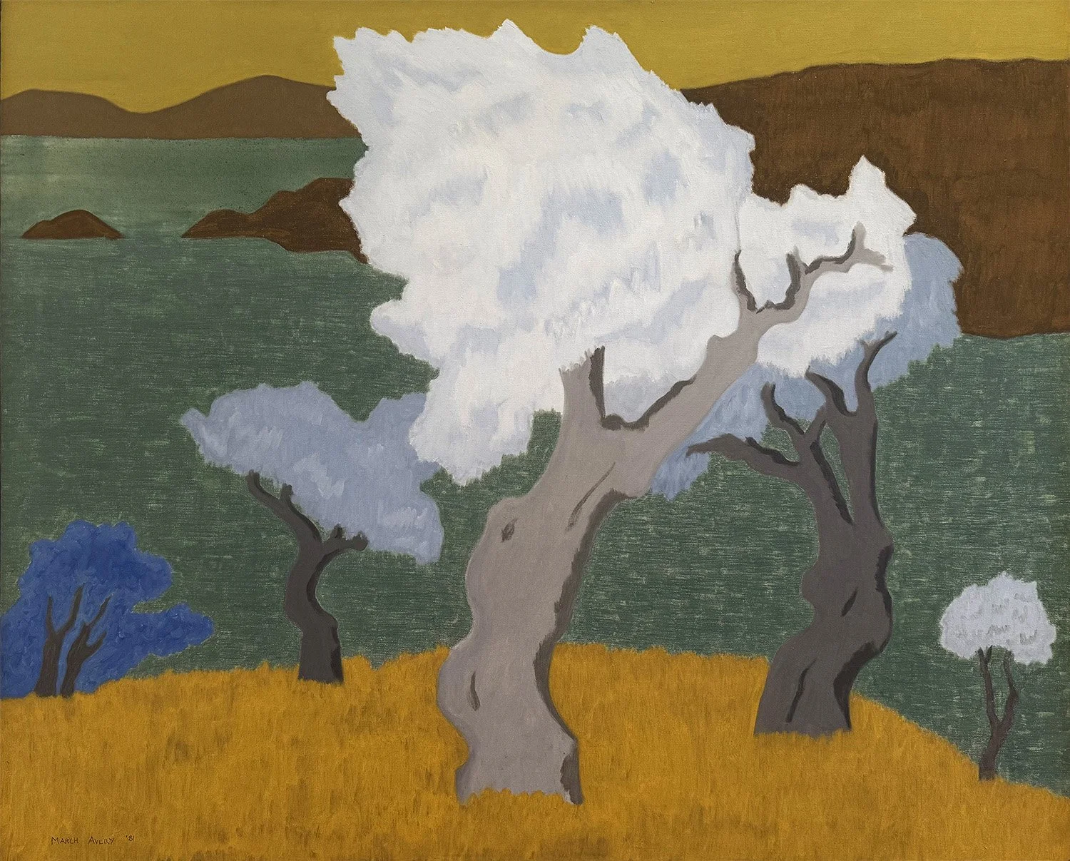 March Avery, Turkish Silvertrees (Gulluk), 1981