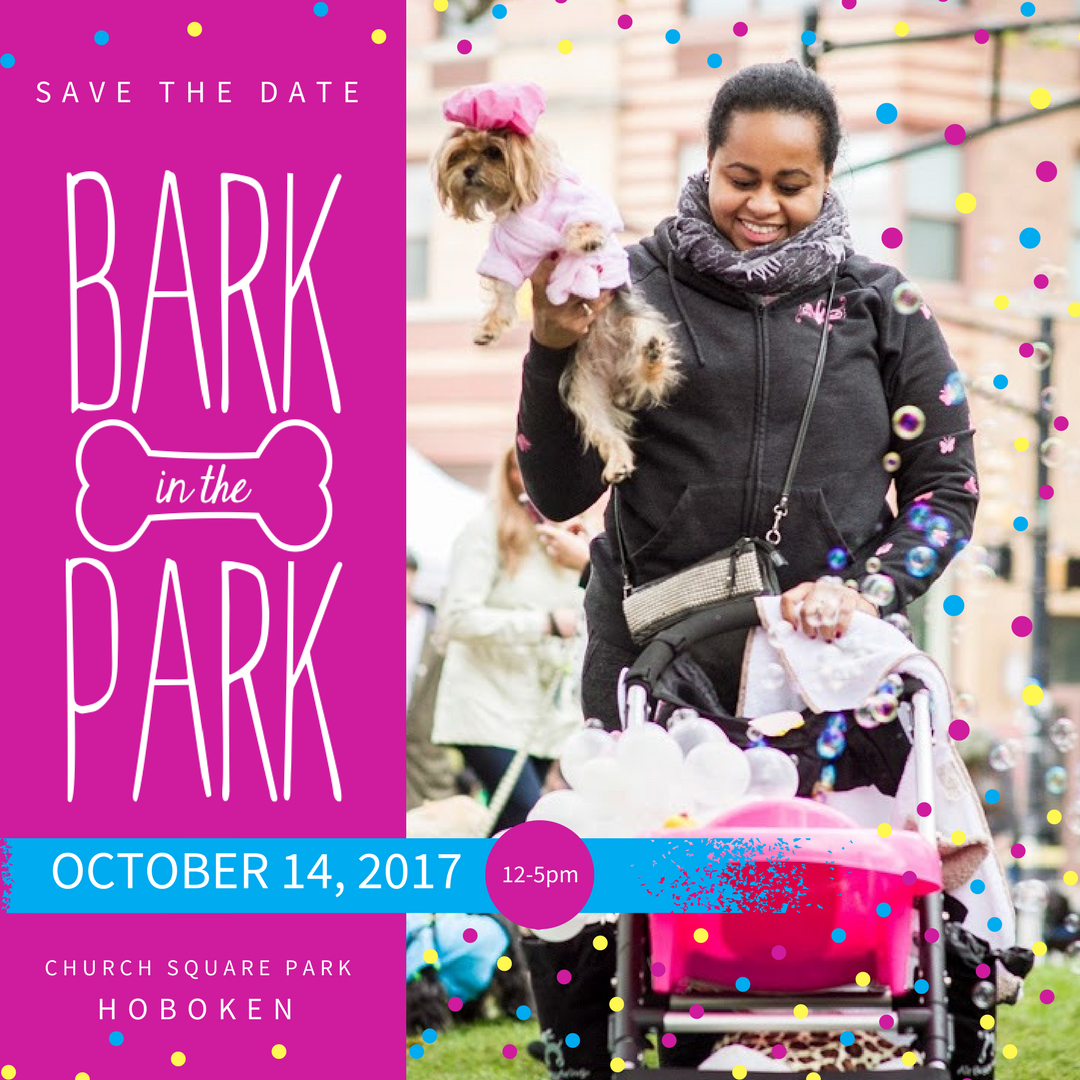 BIPSavetheDate2017.png