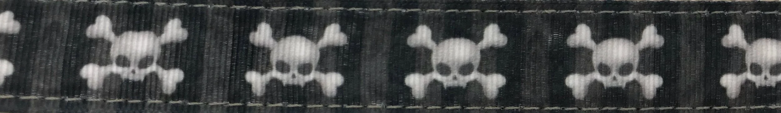 Salty Dog Fabric.jpg